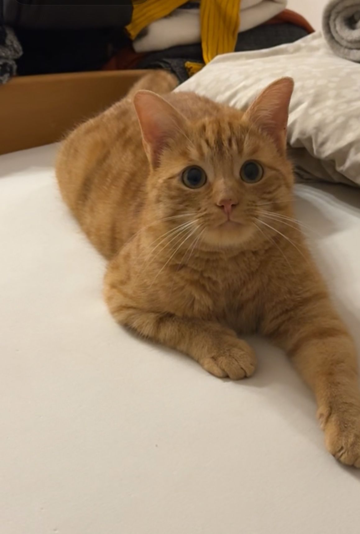 Pablo - Leitenweg, Landeck