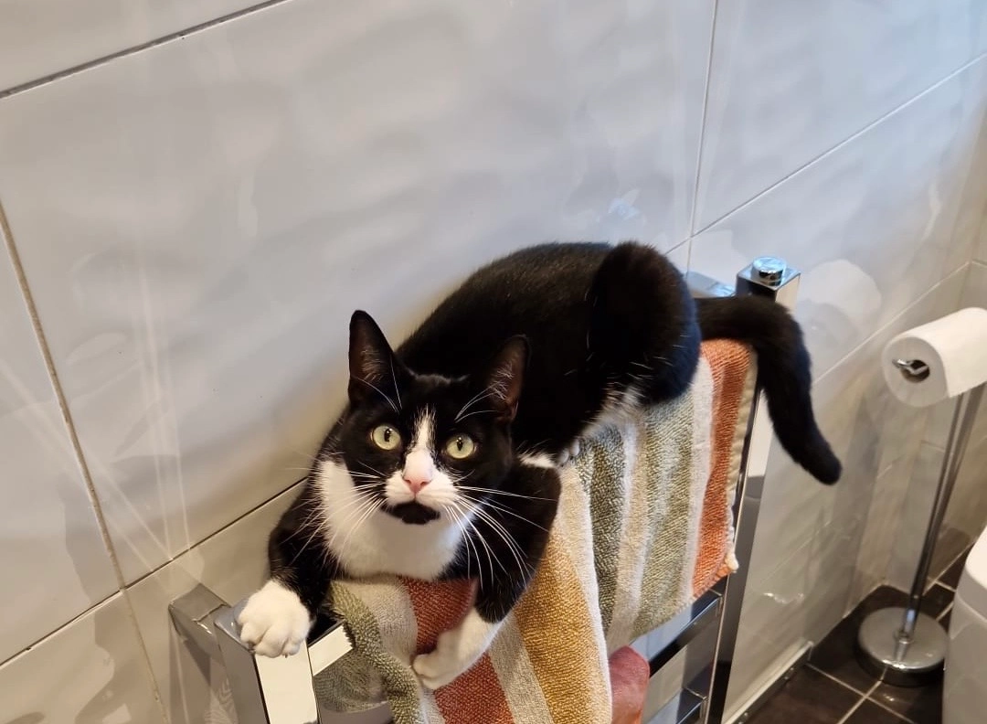 Wimble - Beaford Road, Manchester