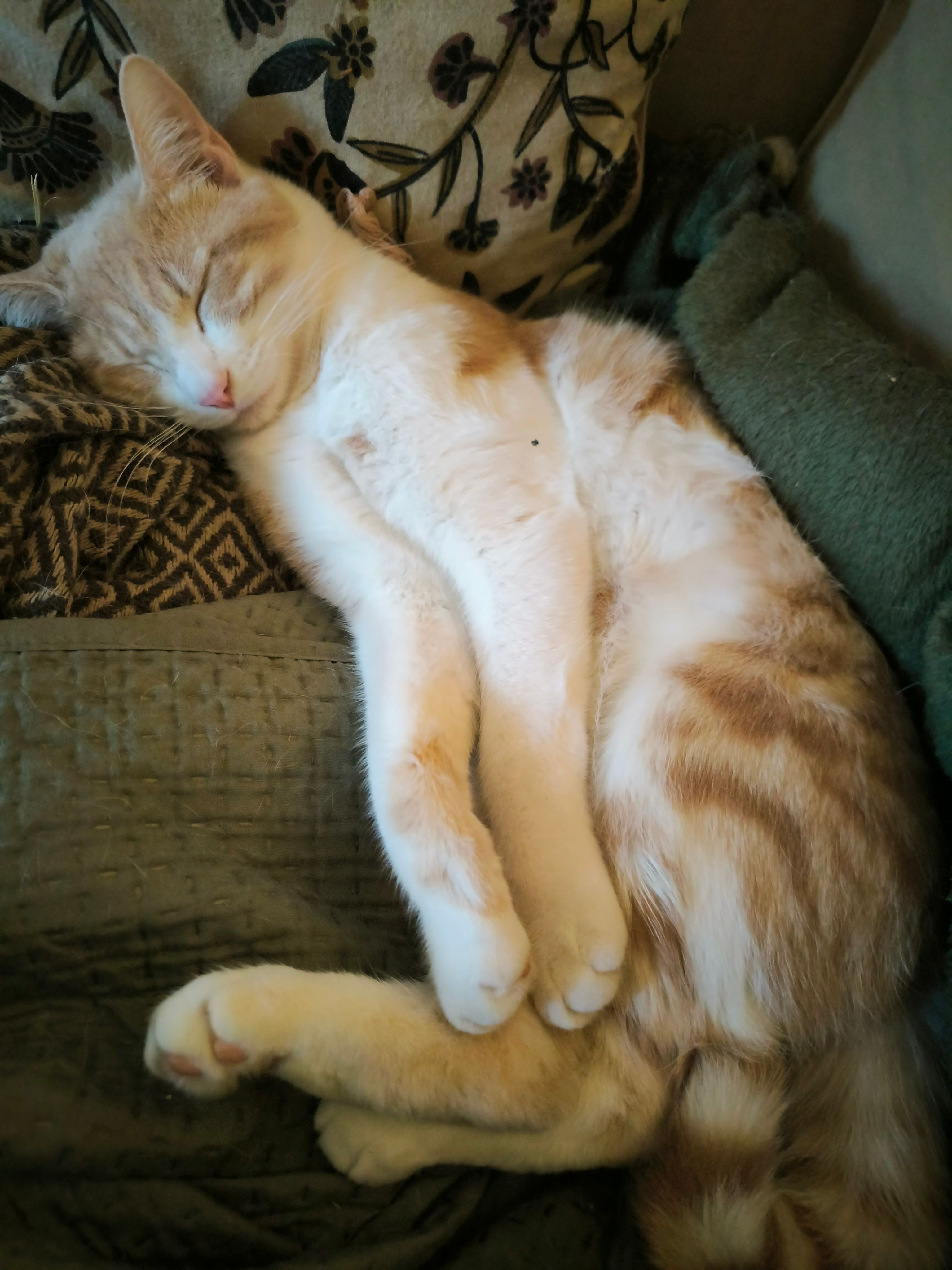 Reinhardt  - Avenue de la République, Beaune