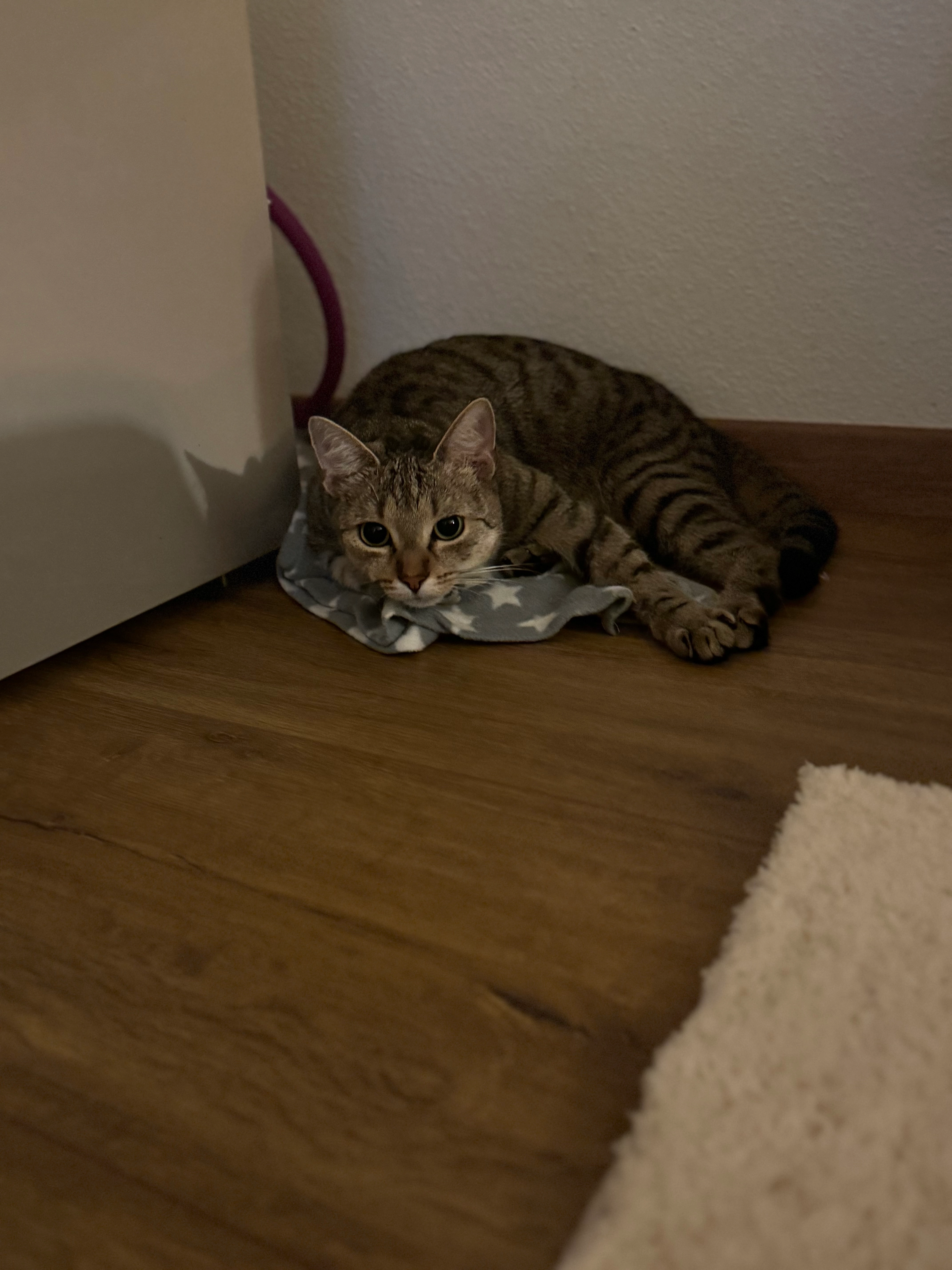 Souki - Neumarkter Straße, Buchbach