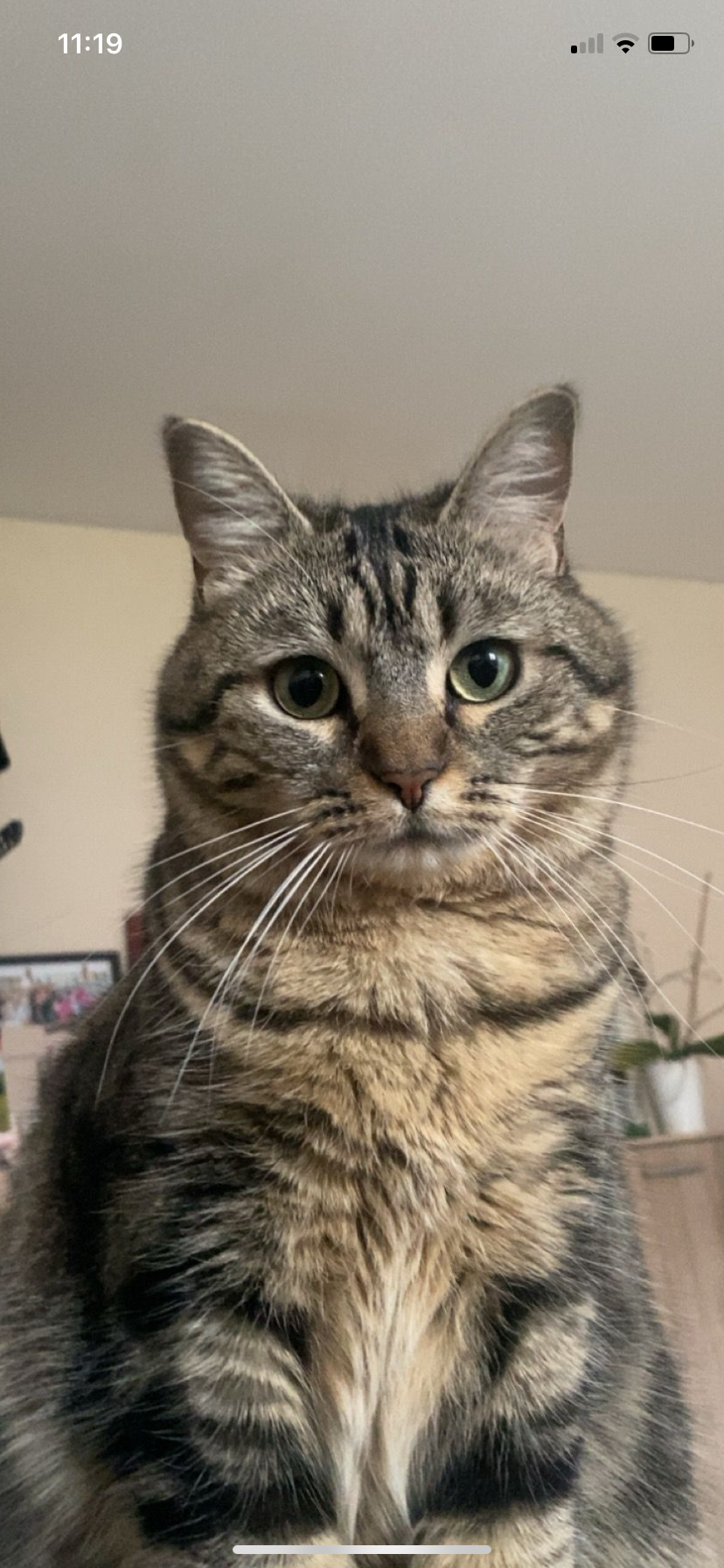 Diva - Rue Jean Nesmy, Troyes