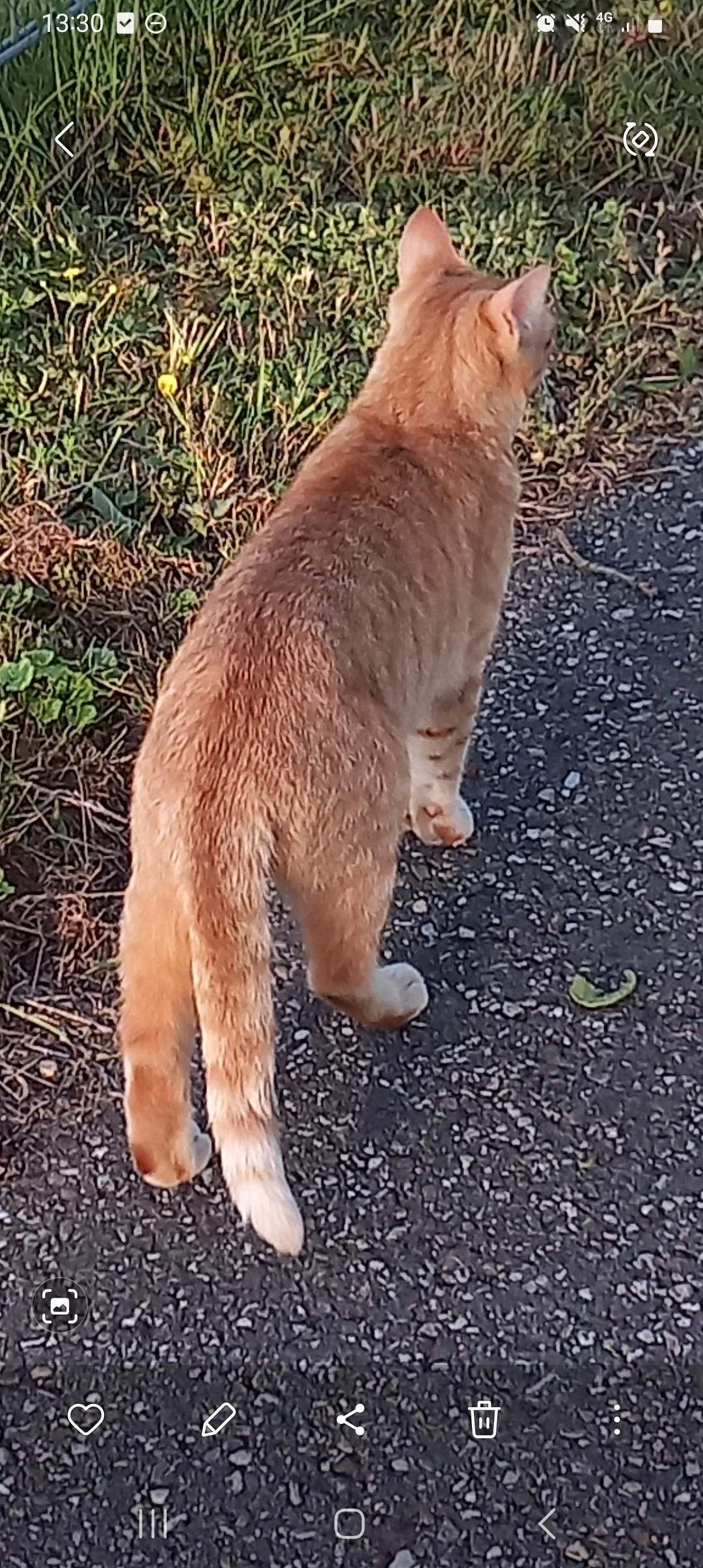 Soesoe - Furmerusstraat, Sneek