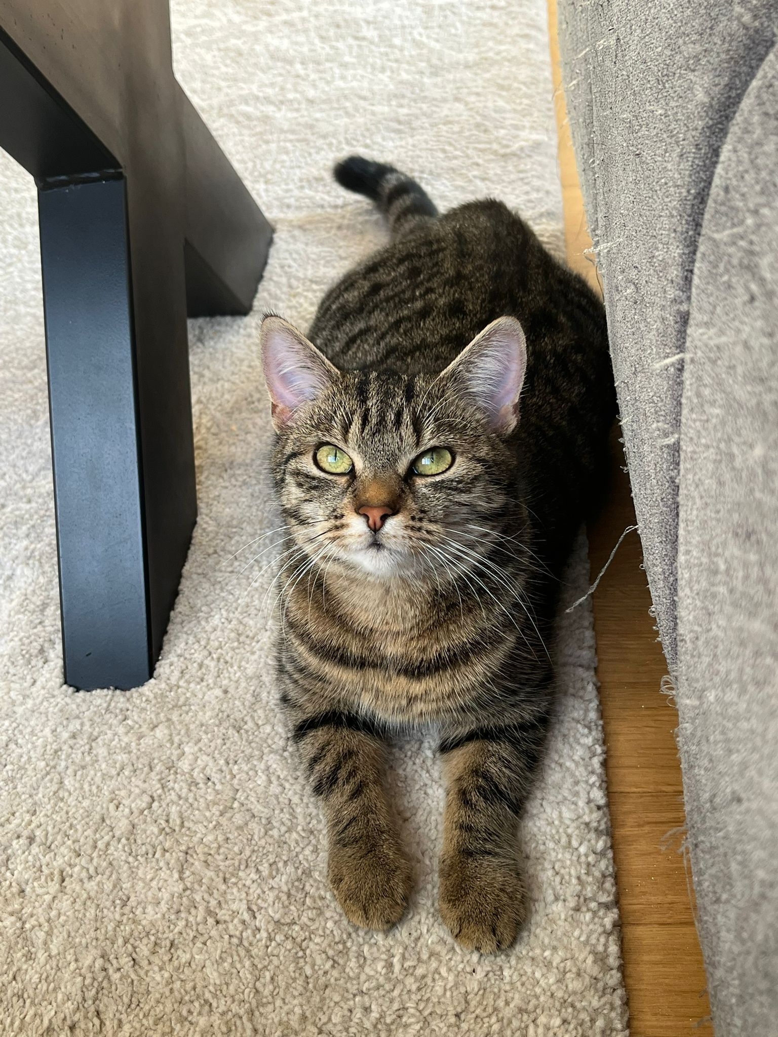 Ida - Eckstraße, Elzach