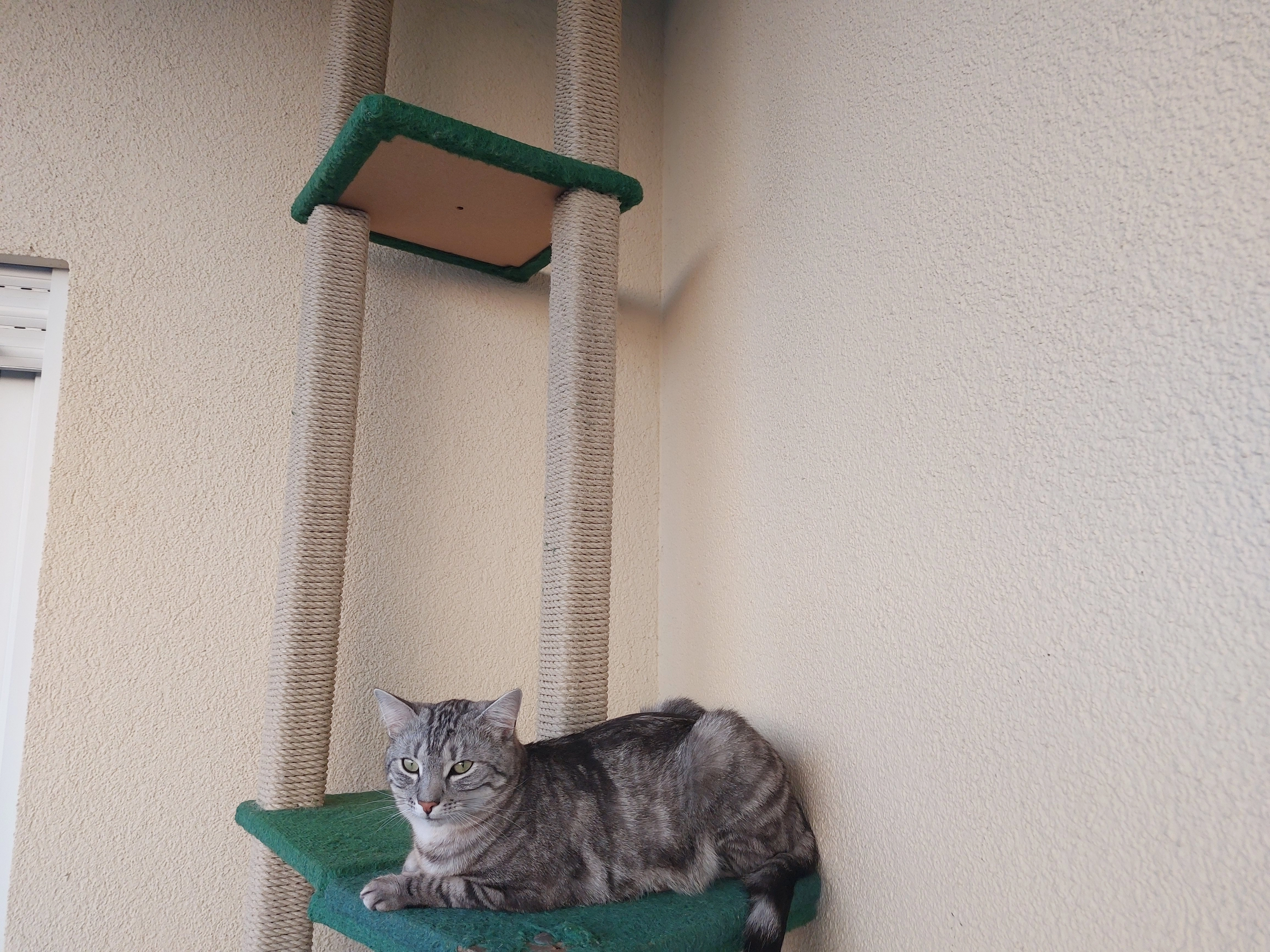 Scotty - Basteistraße, Pirna