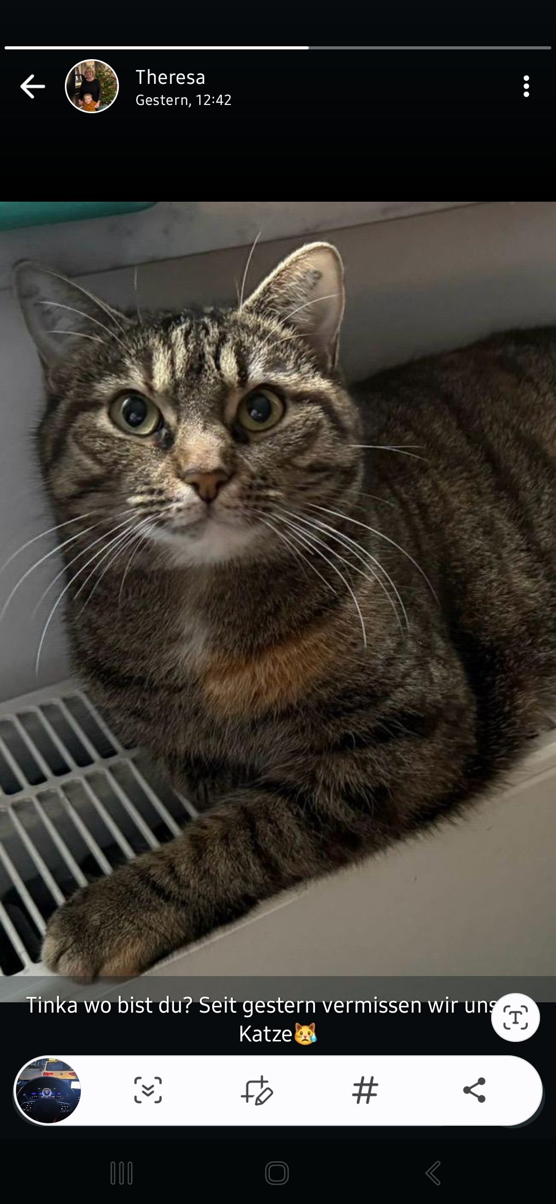 Tinka - Heckelstraße 13, Allersberg