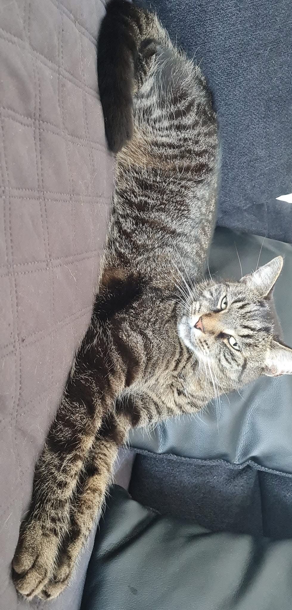 Junior - Feldstraße, Großefehn