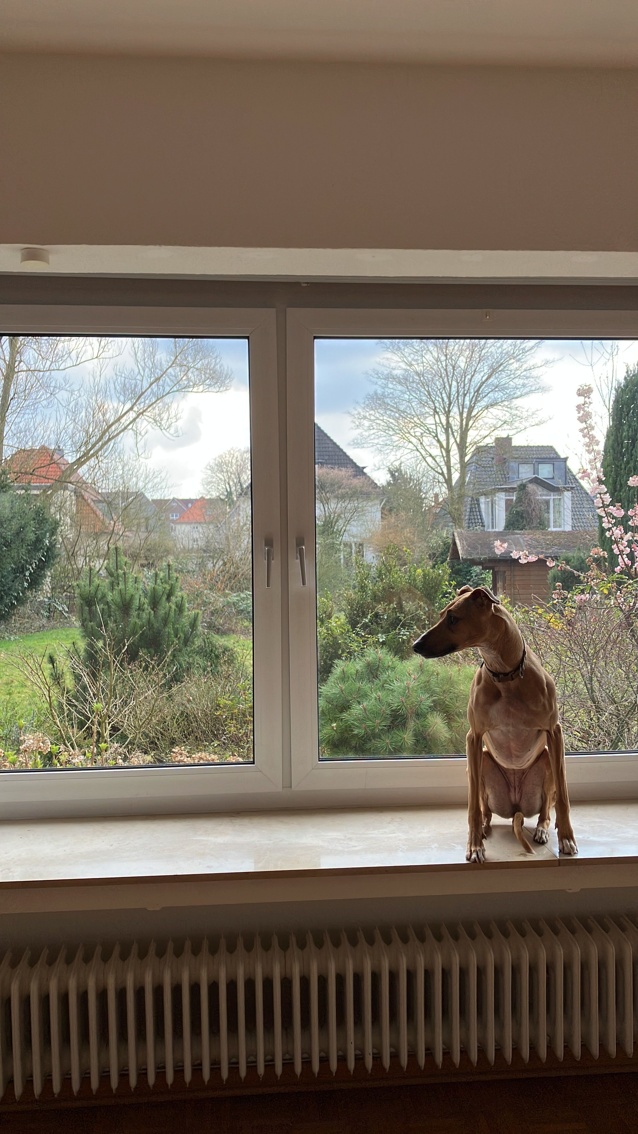 Niña - Wechloyer Weg, Oldenburg