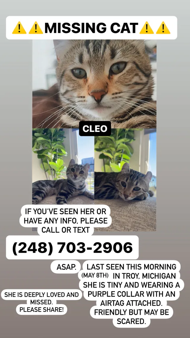 Cleo - 1230 Hartland Dr, Troy