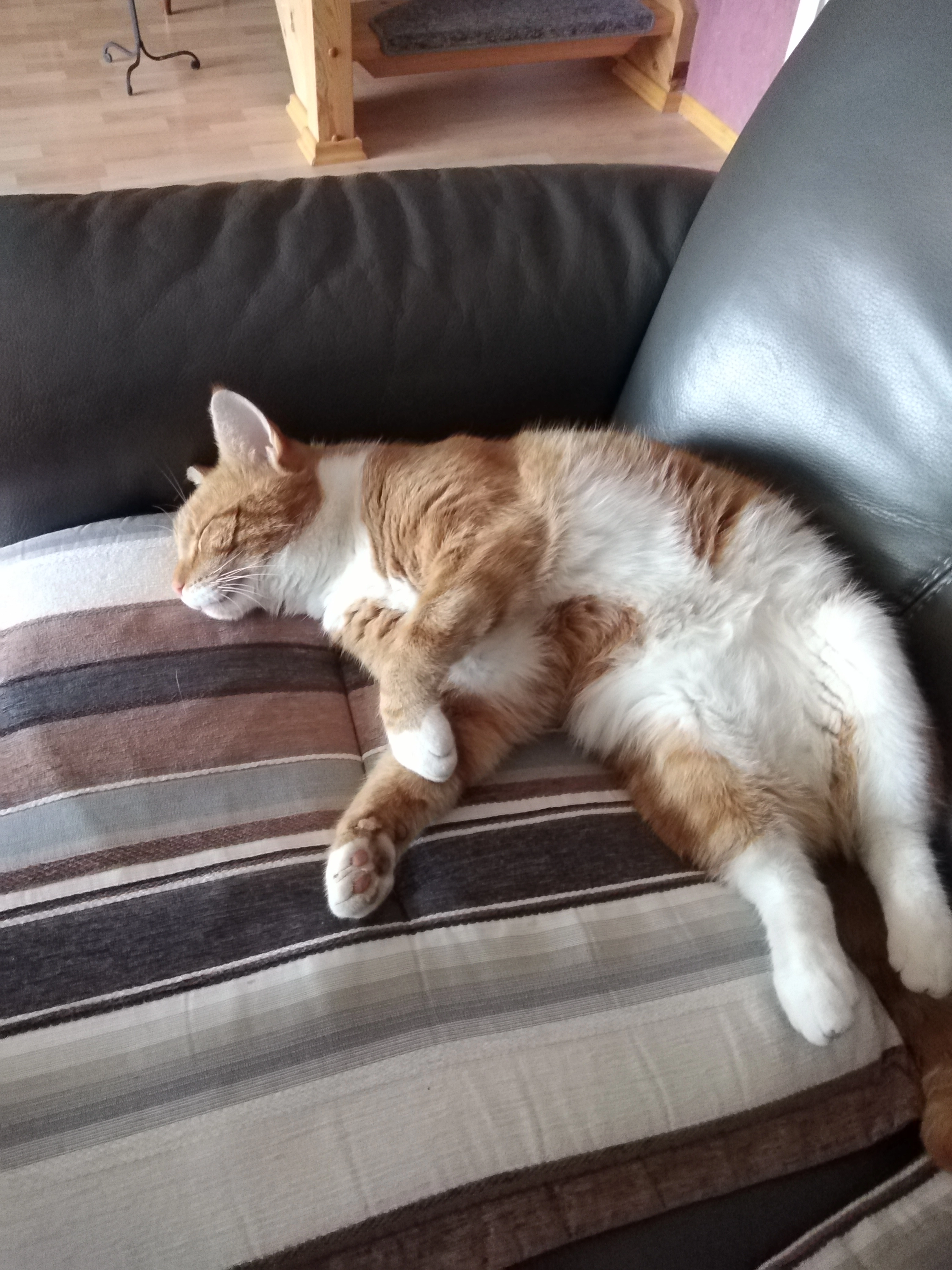 Tömmie - Birnenweg, Rostock