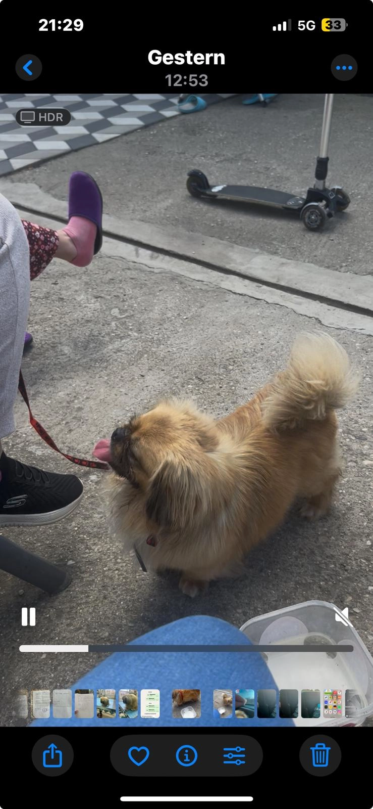 Roki - Herwarthstraße, Duisburg