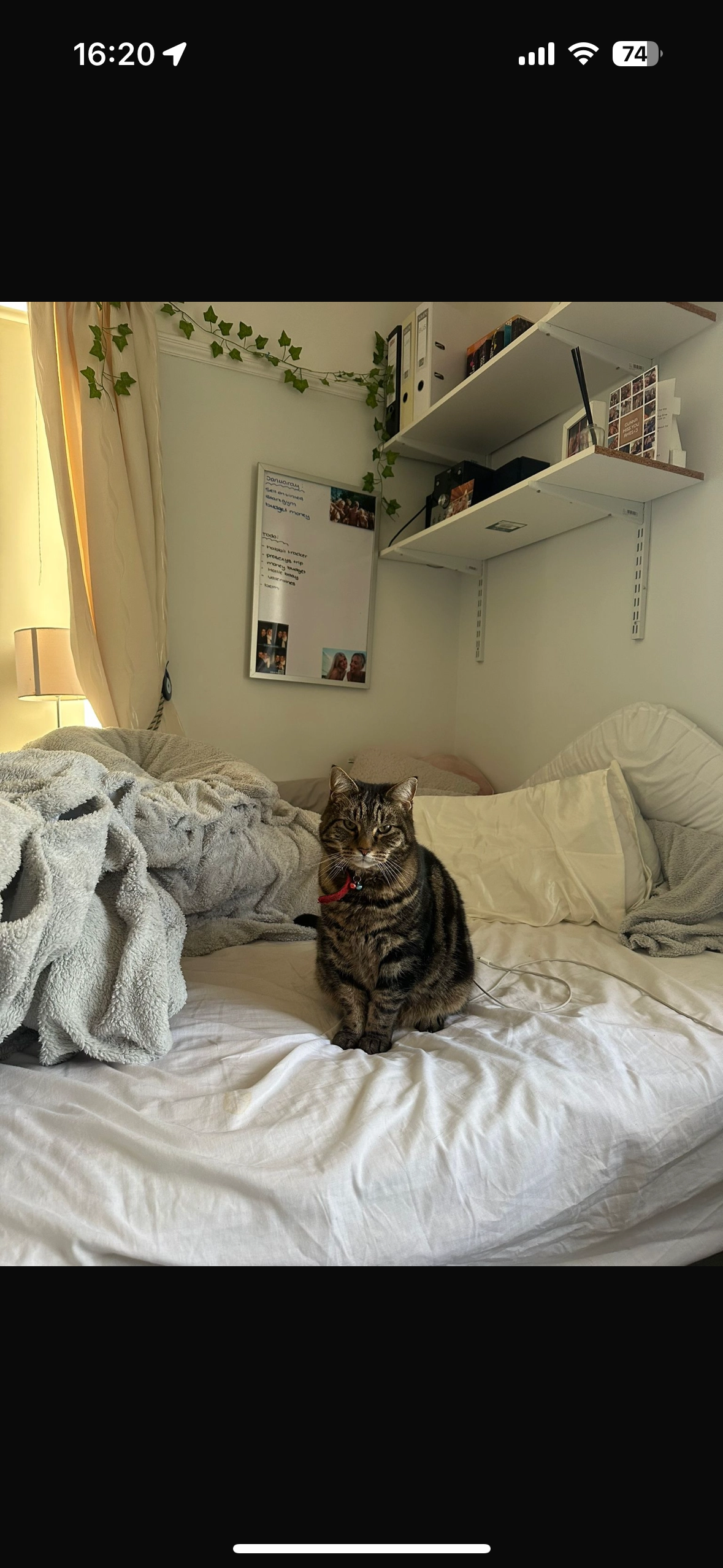 Pebbles - St Andrew's Road, Burnham-on-Sea