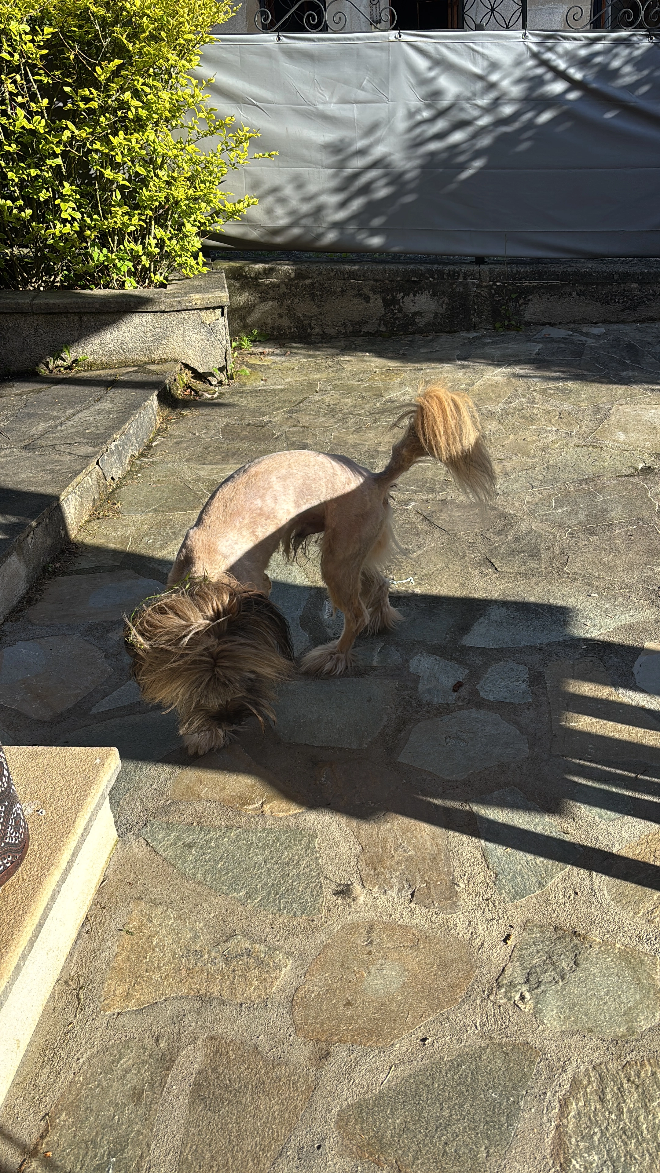 Ughy - 9 Chemin de l'Orson, Cercier