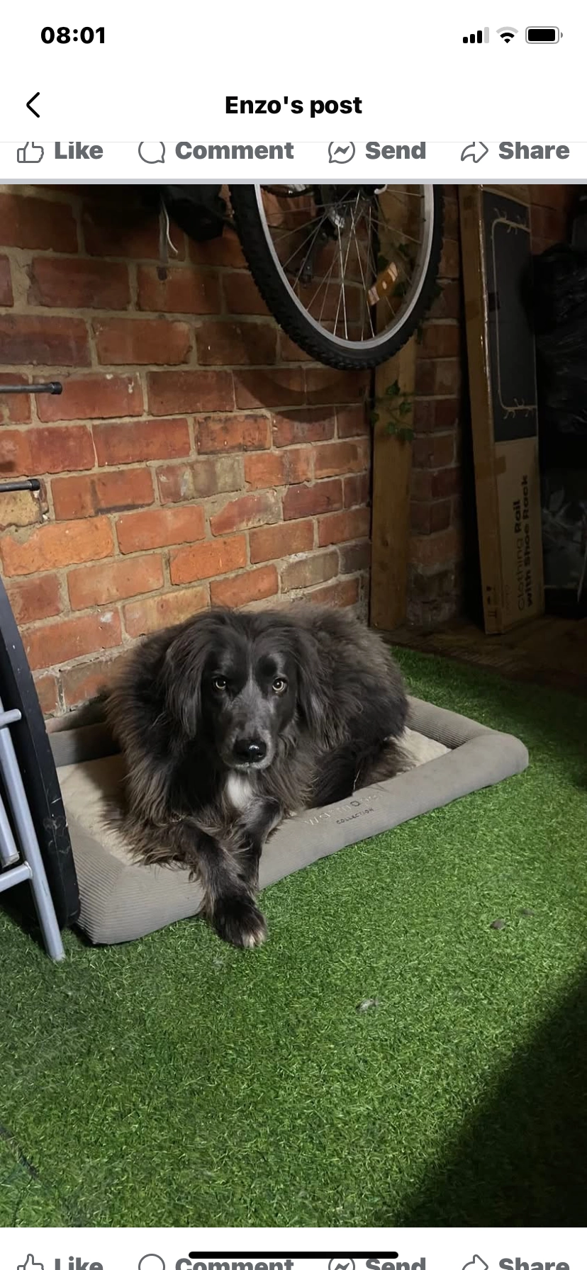 Luna - Kingsley Road, Northampton