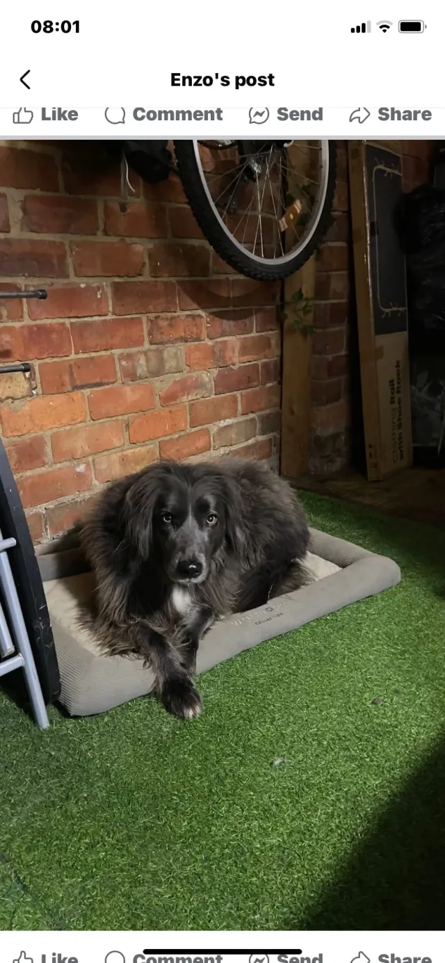 Luna - Kingsley Road, Northampton