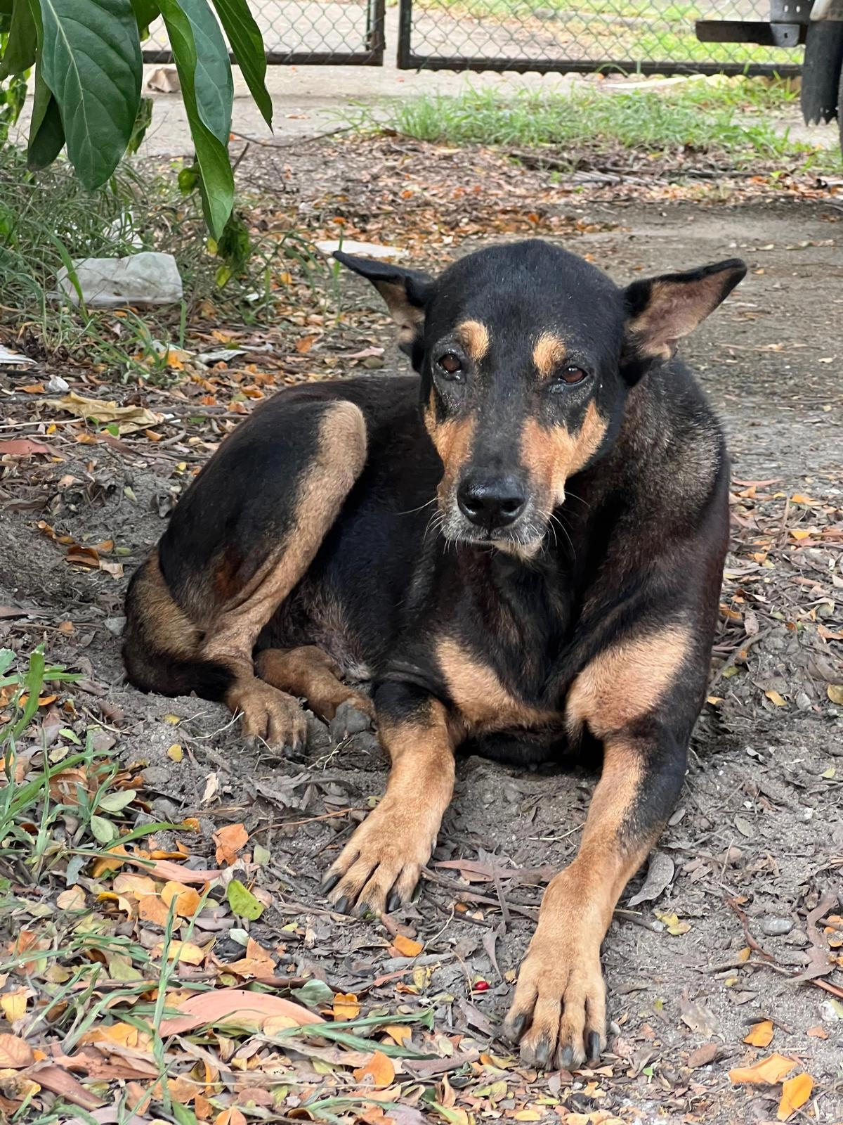 Mata - Tanjong Kling Road, Singapore