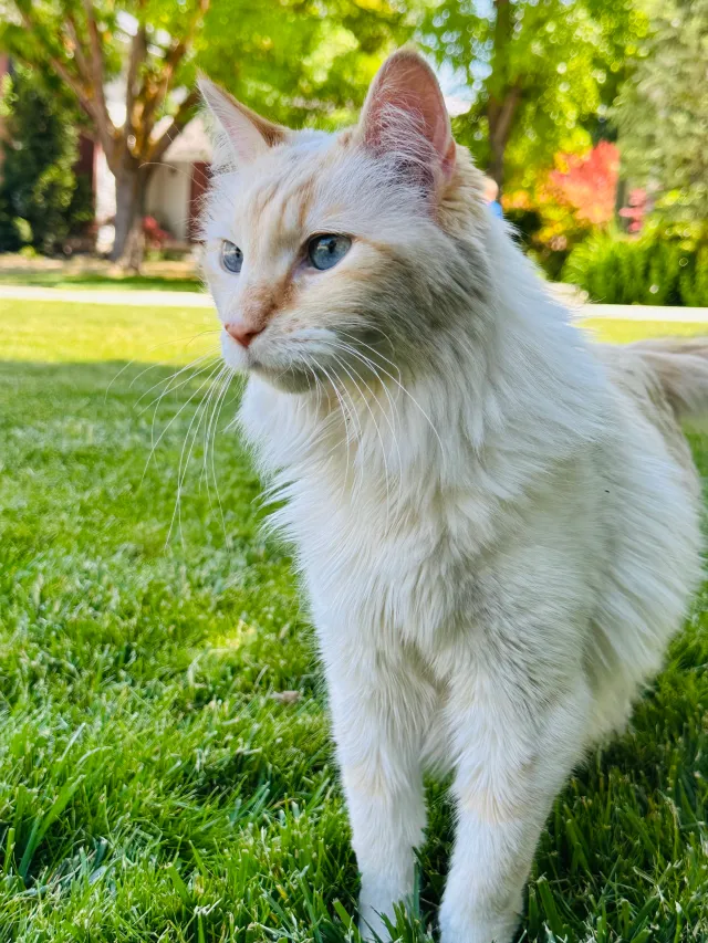 Milo - 5102 Boabab Ct, Salt Lake City