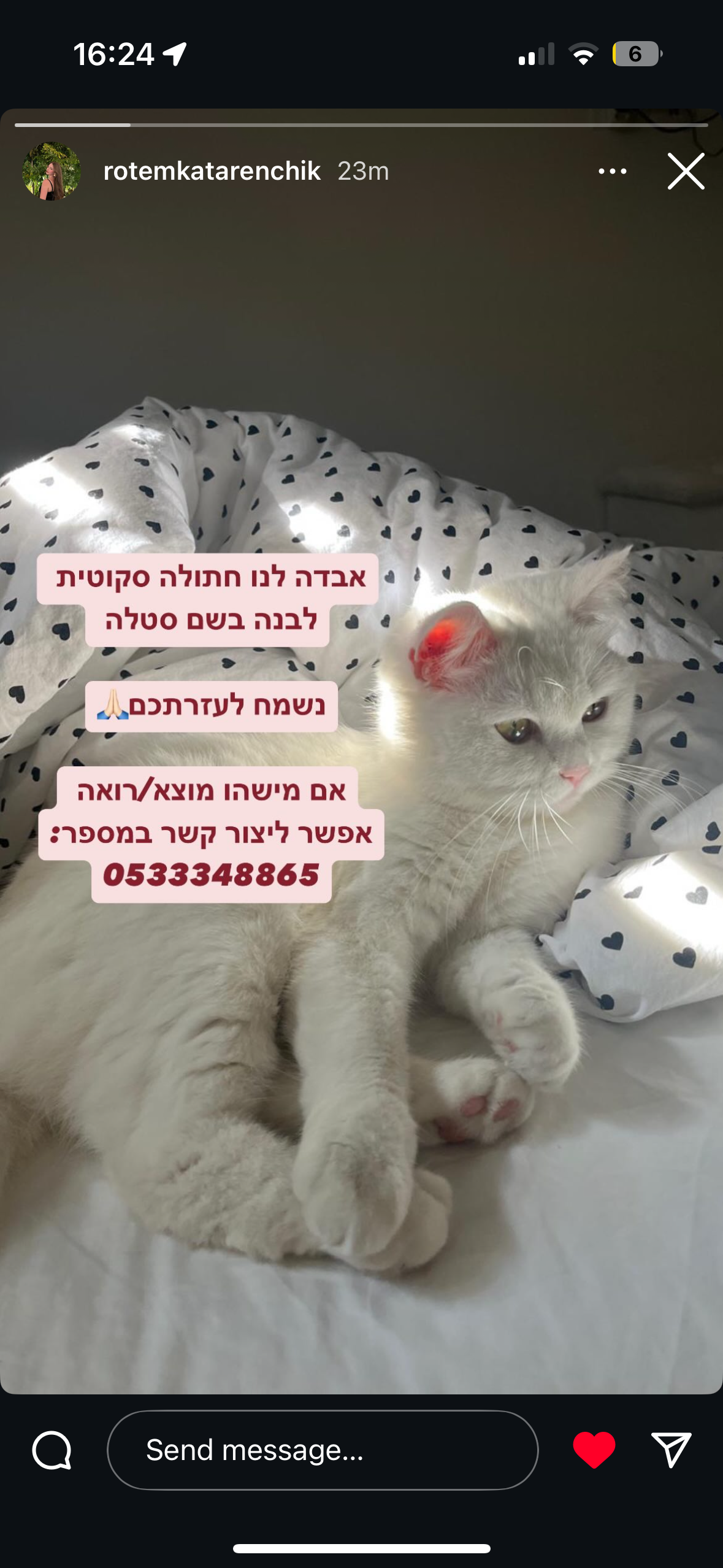 Stella  - Moshe Lerer Street, Nes Tsiyona