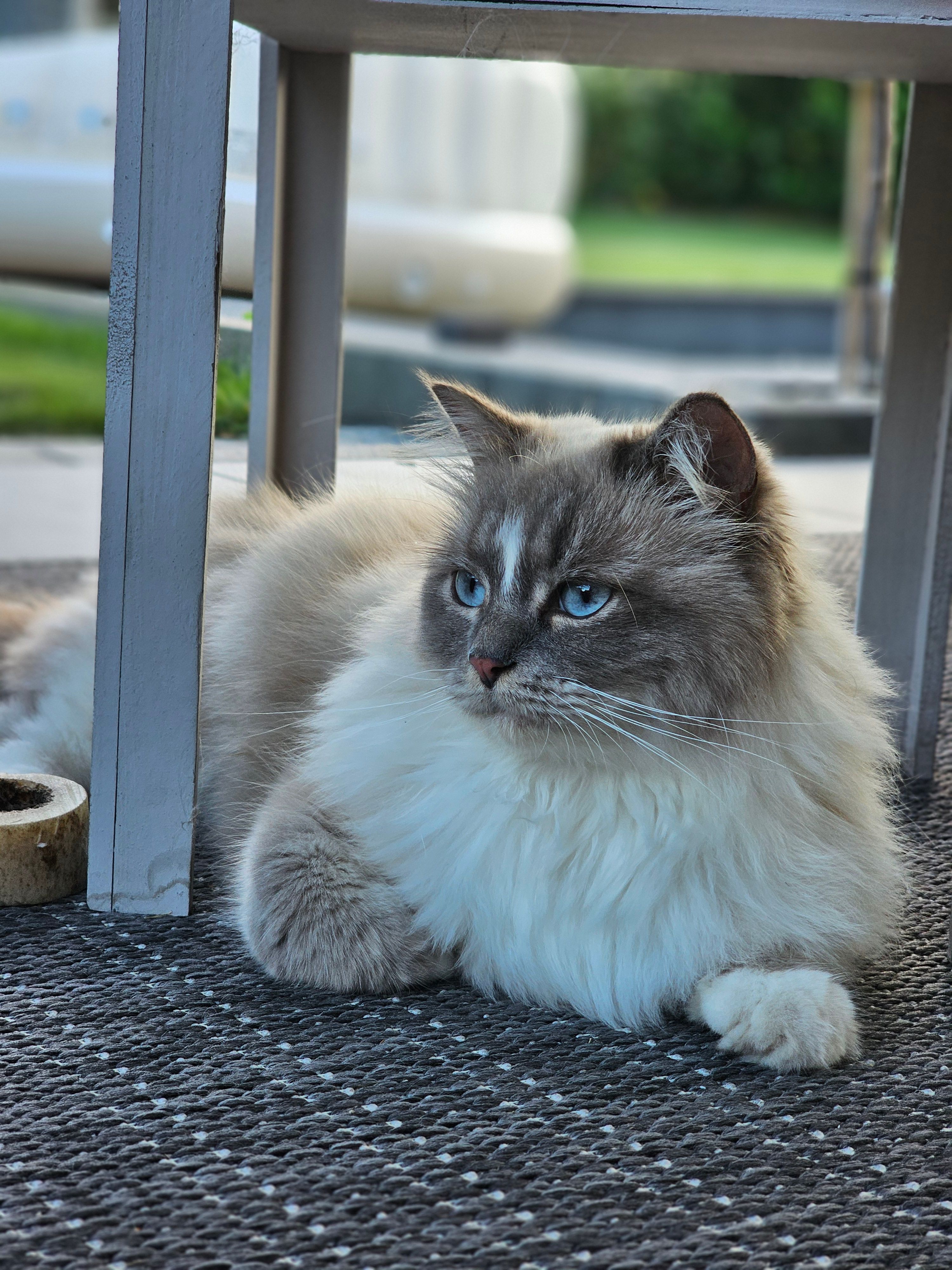 Shirley - Rudolf-Breitscheid-Straße , Löwenberger Land Nassenheide
