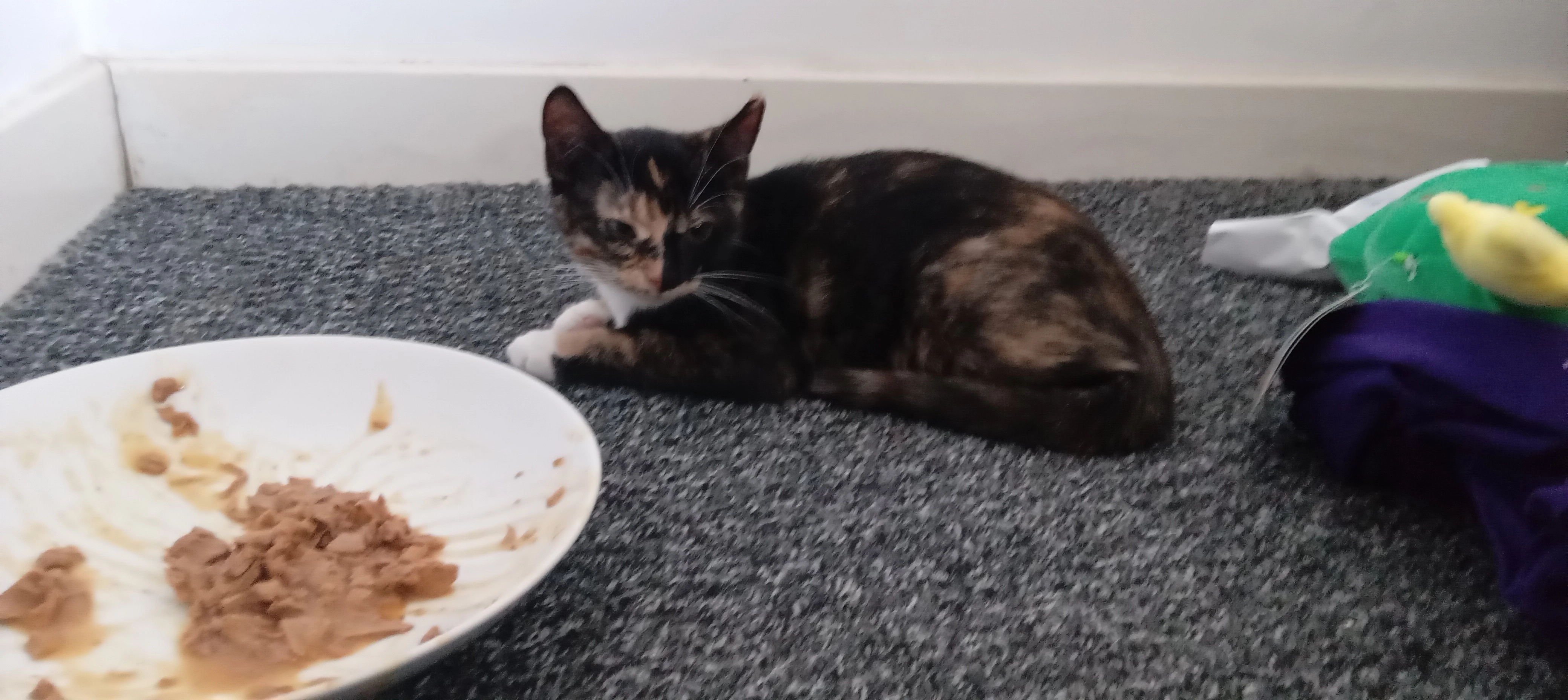 Spooks - Singer Gardens, Clydebank