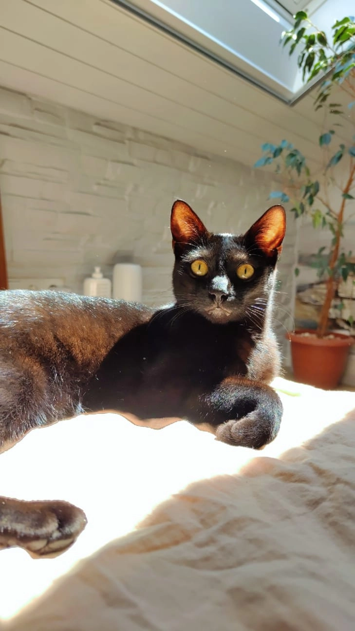 Lina - Schumannstraße, Murrhardt