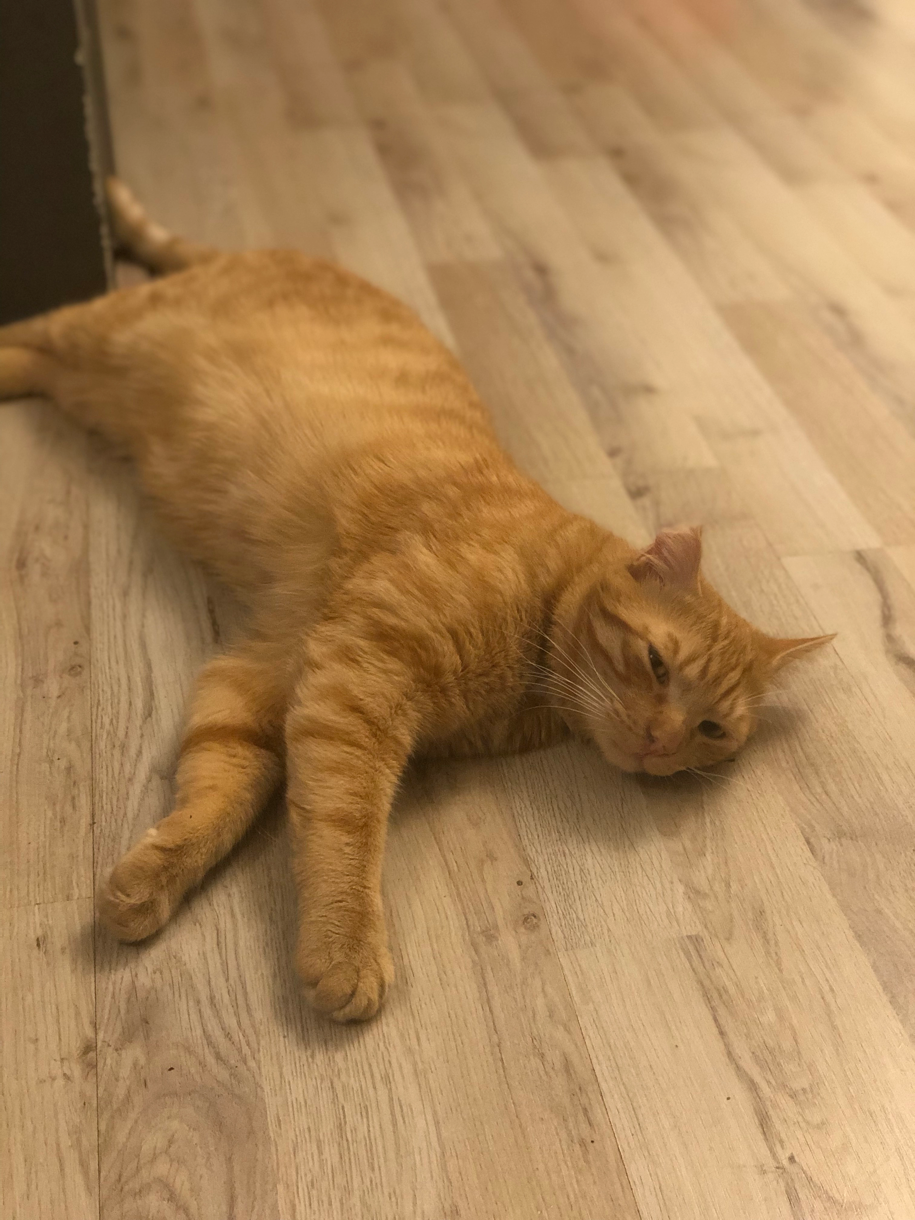 Binky - Jeen Stokerstraat, Emmer-Compascuum