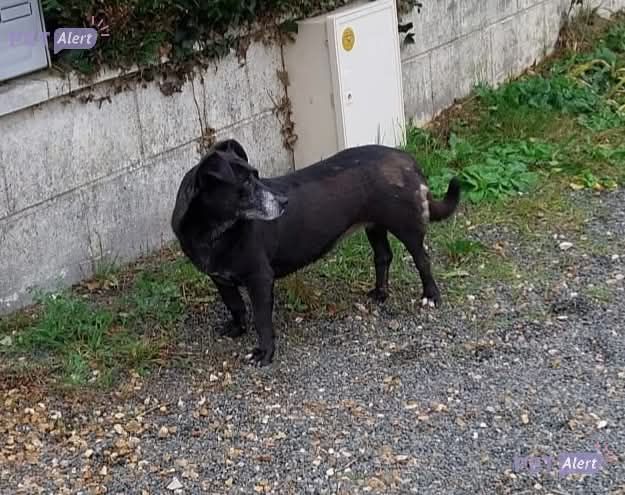 Gaby - Rue De La Chapelle, Mignières