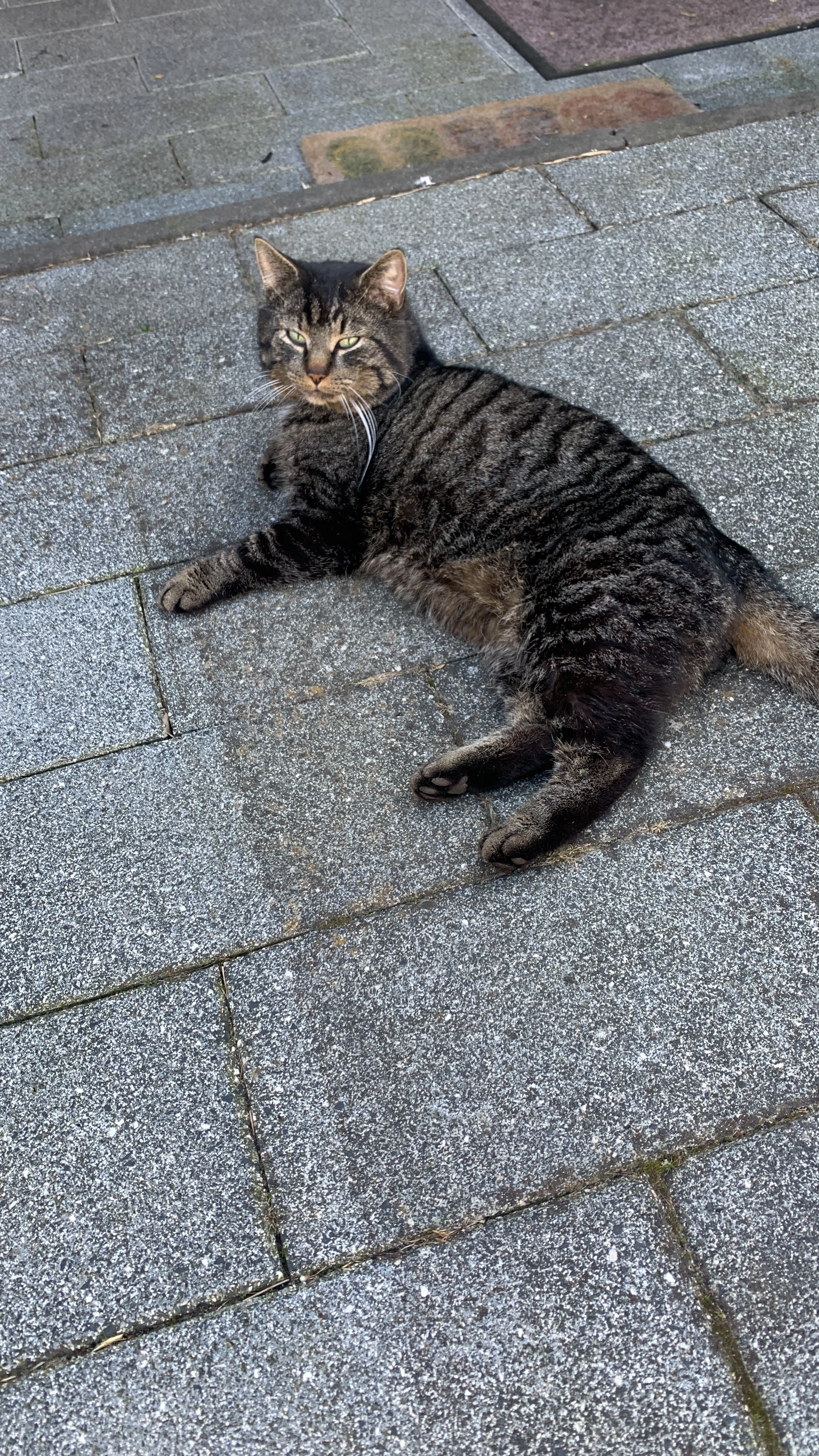 Ramses - Zwartewater, Emmeloord