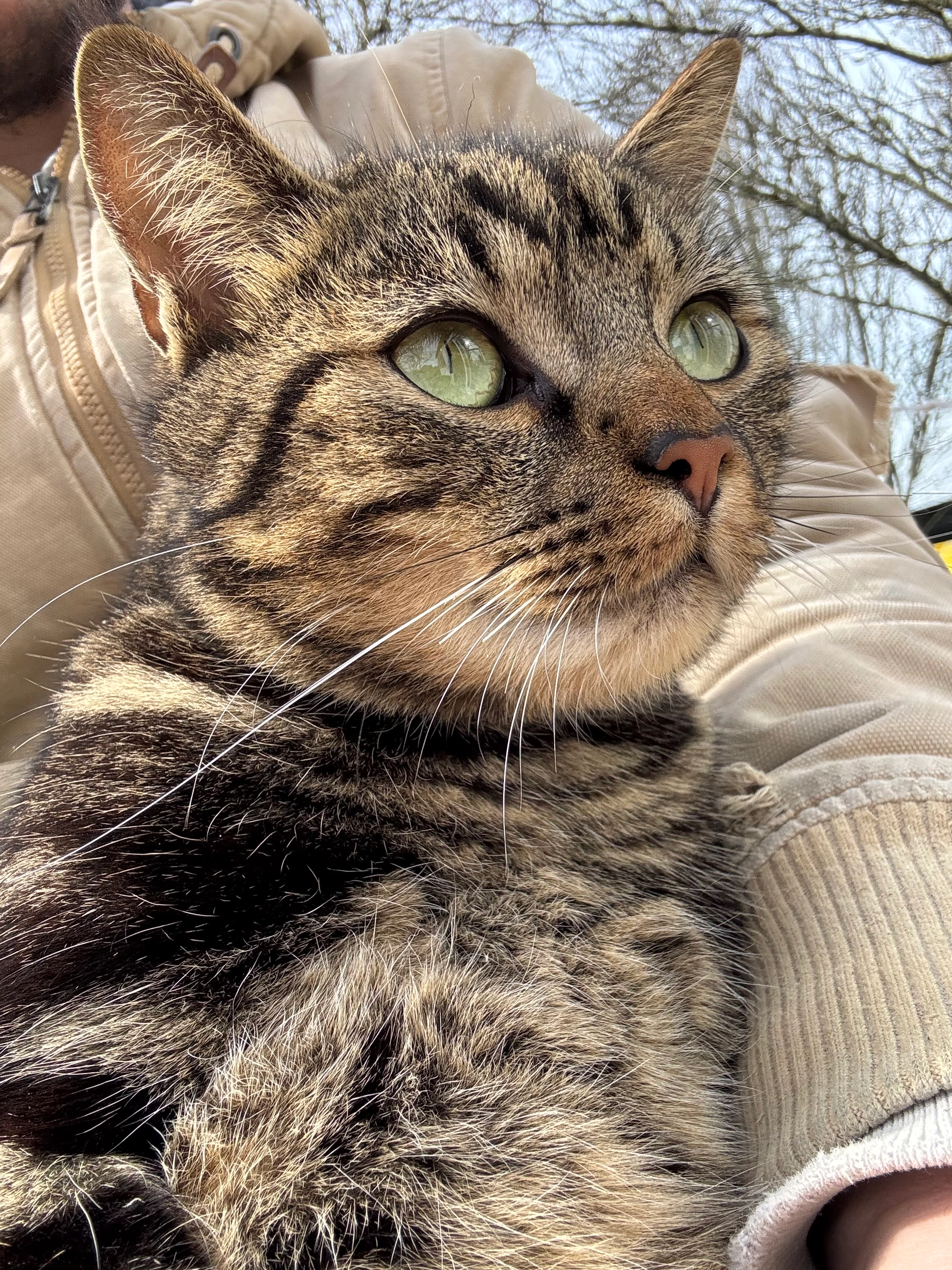 Nova - 175 Route des Vignes, Campugnan