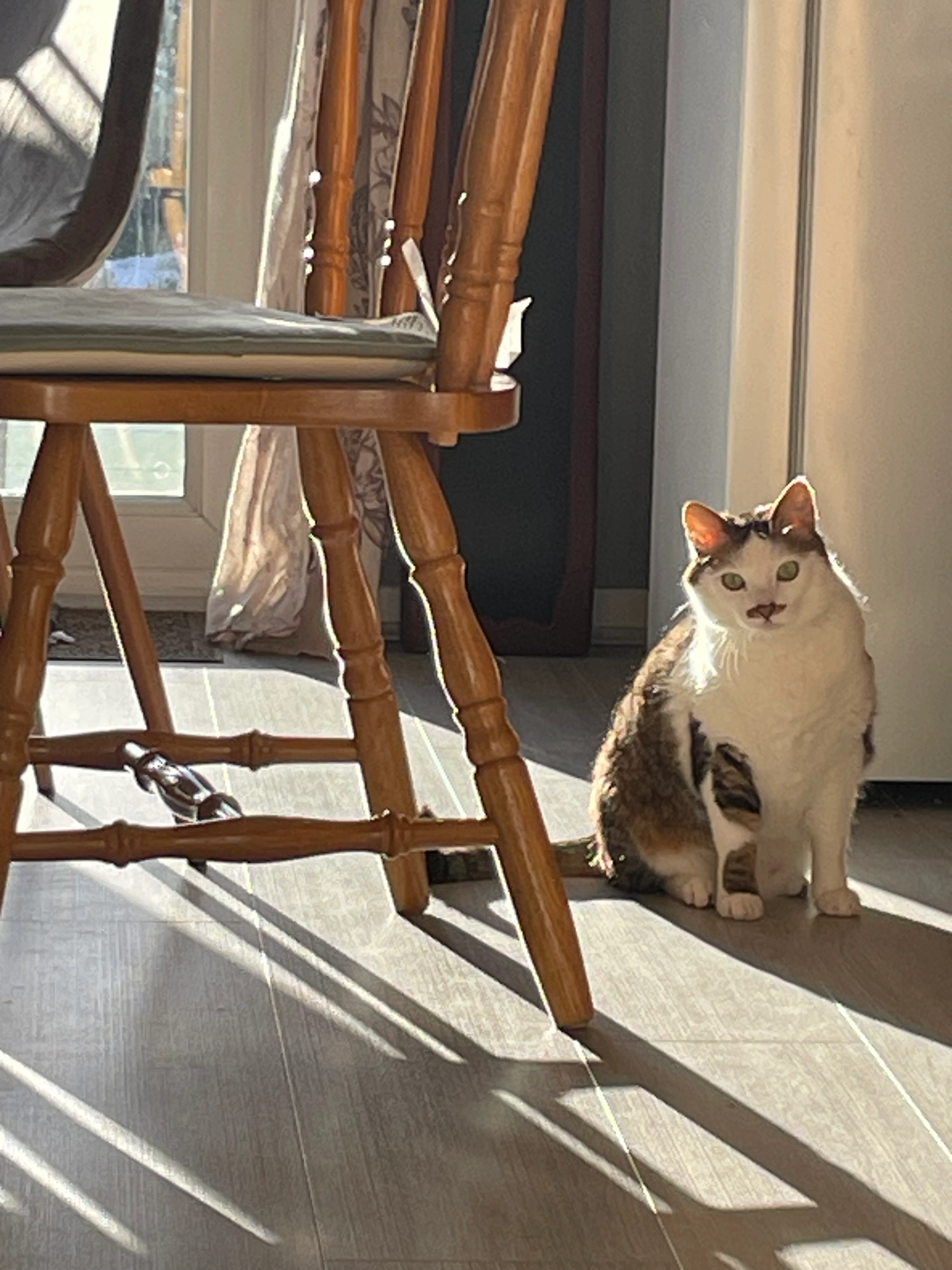 Momo - Bromley Cross Road, Bolton