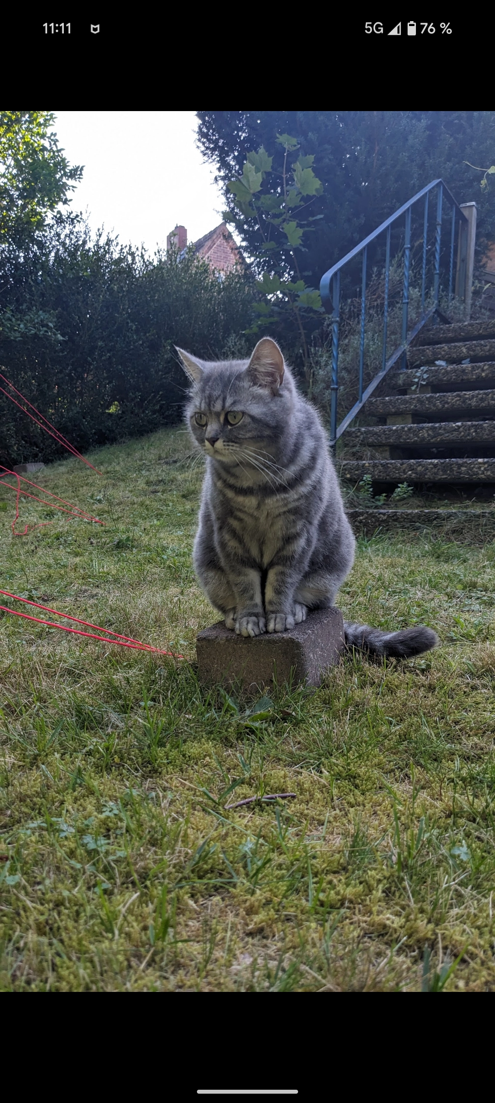 Nami - Lichtheimweg, Hamburg