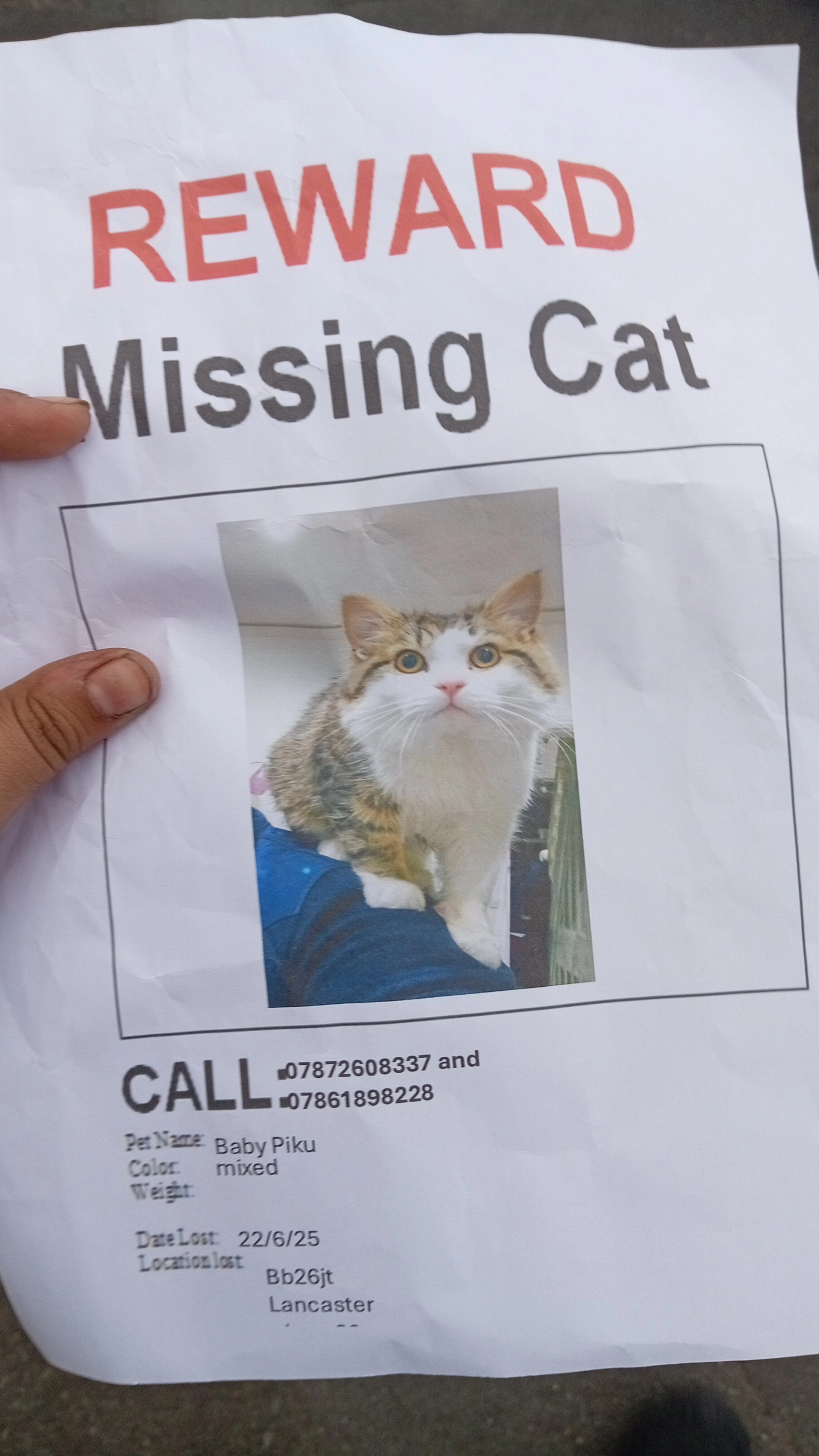 Piku - Lancaster Place, Blackburn