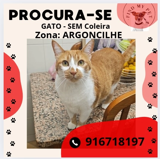 Douradinho - Alameda das Corgas 424, Santa Maria da Feira