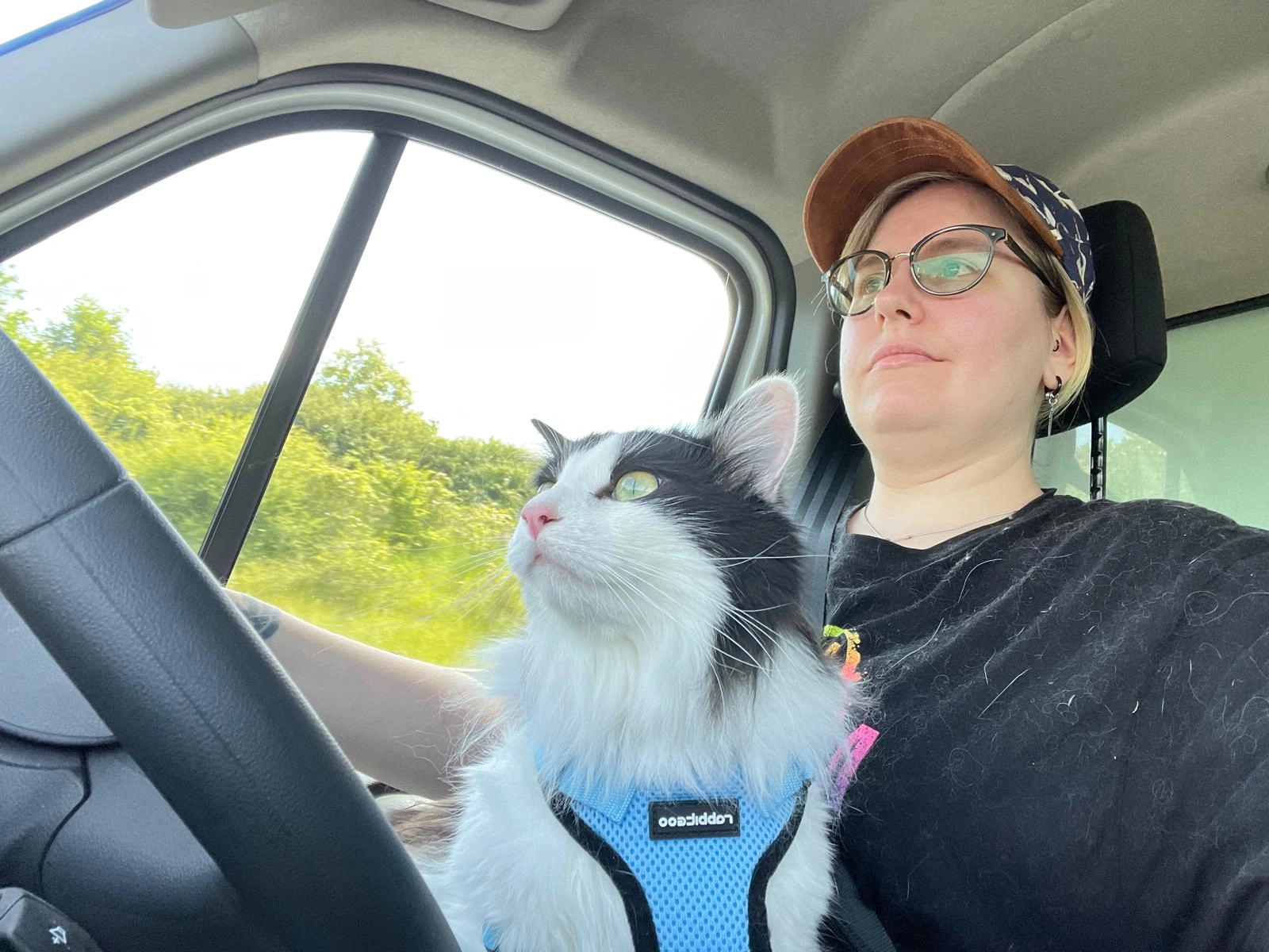 Loki - 25 Rue du Clos Vert, Saint-Martin-d'Abbat