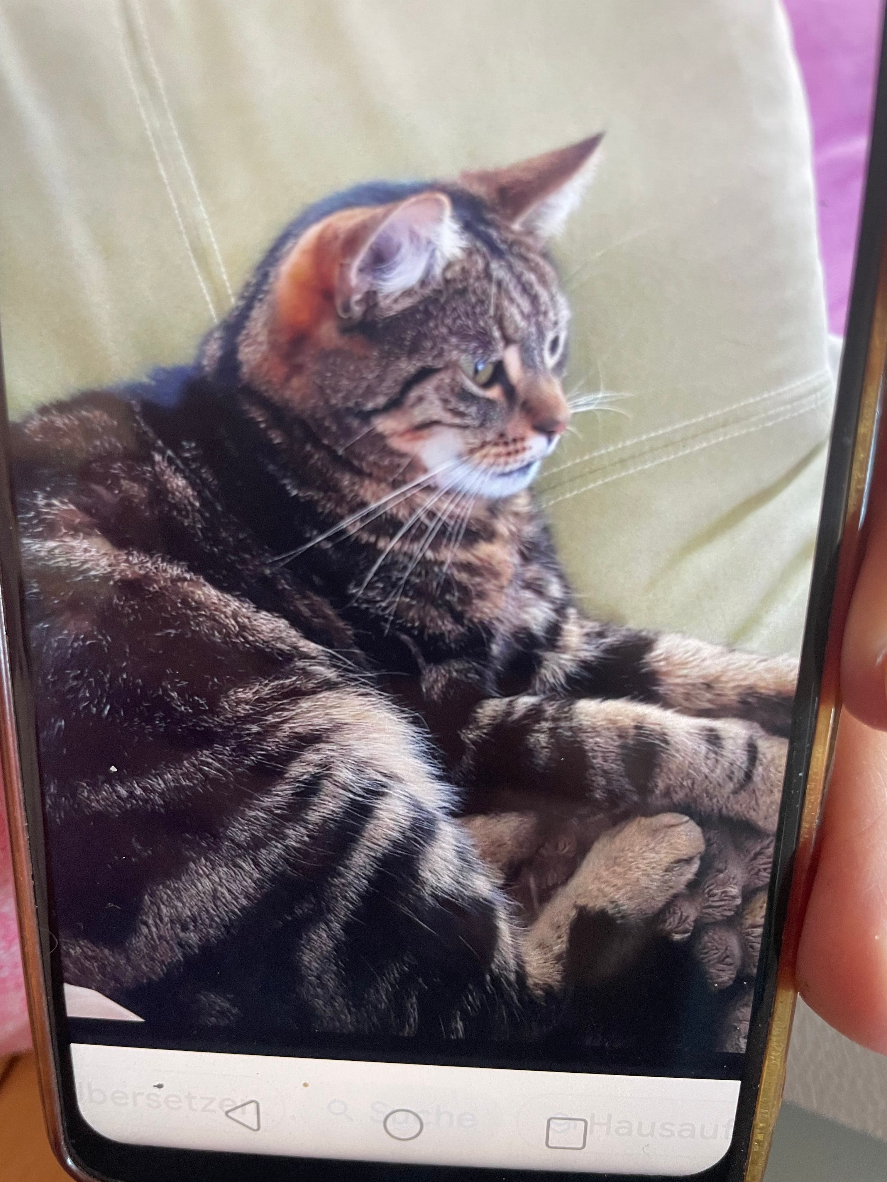 Reini - An Der Lehmgrube, Öhringen