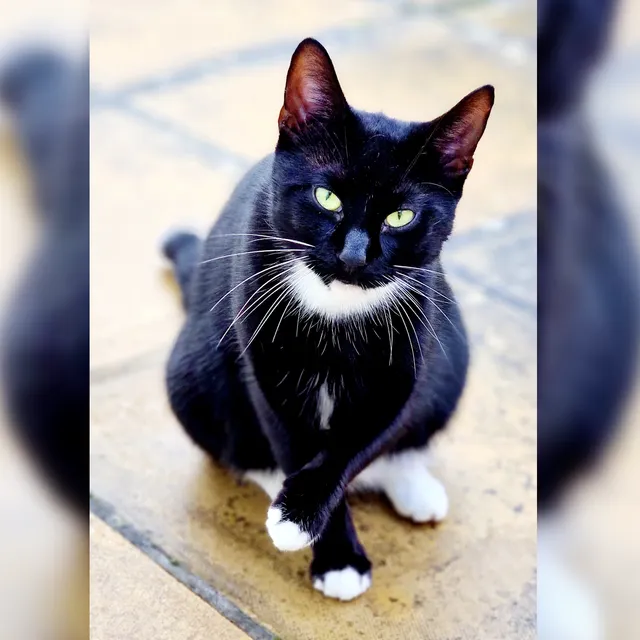 Diego - Winfield Street, Rugby