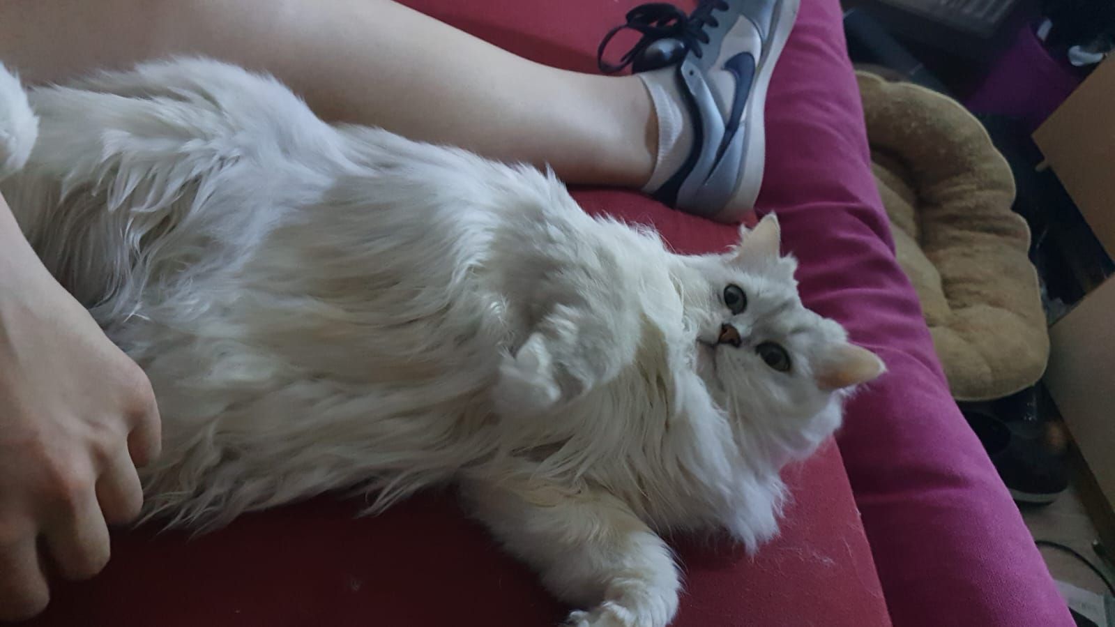 Mia - Ebersdorf, Dietenhofen