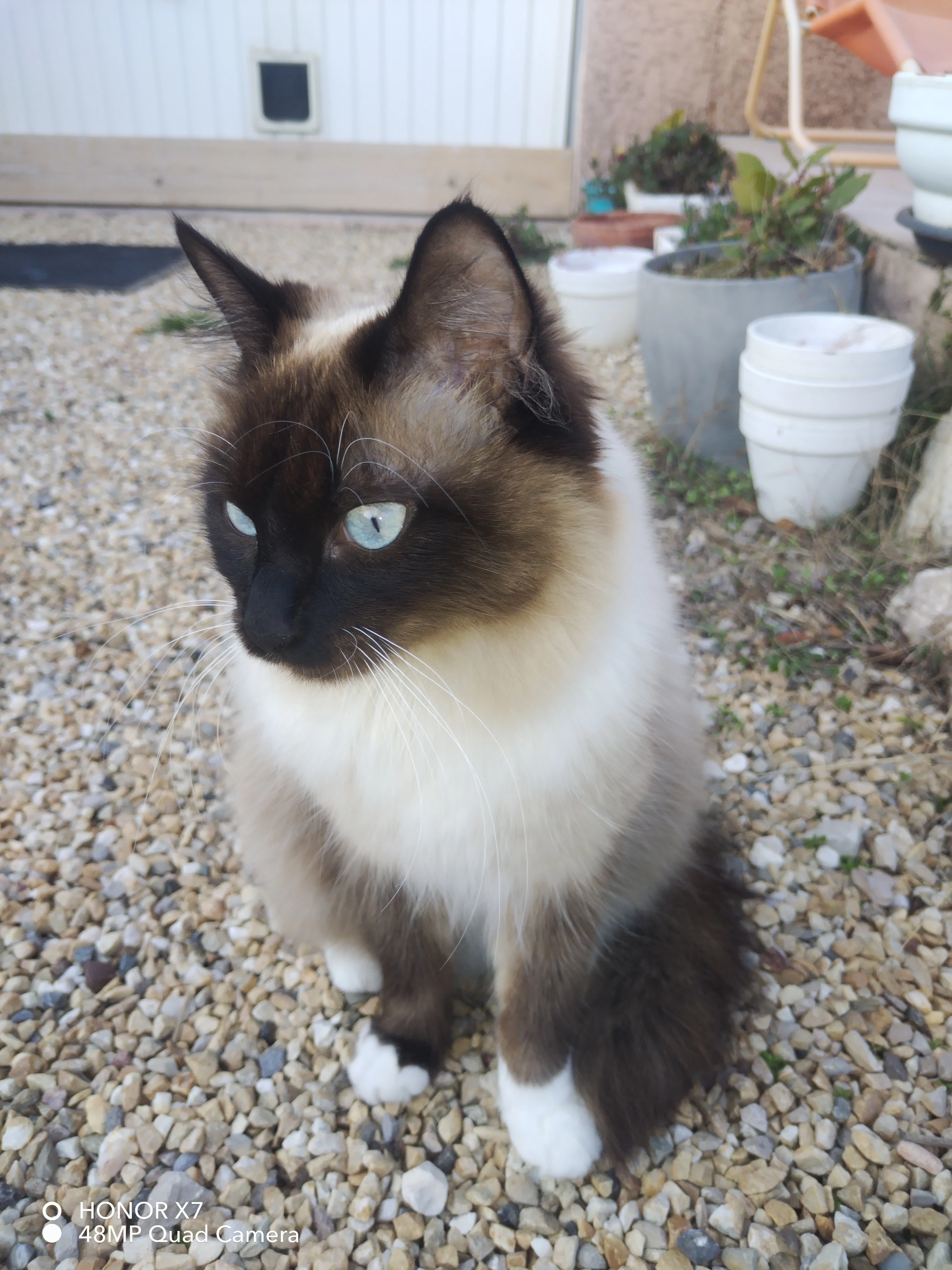 Wendy - Traverse des Bastides, Lançon-Provence