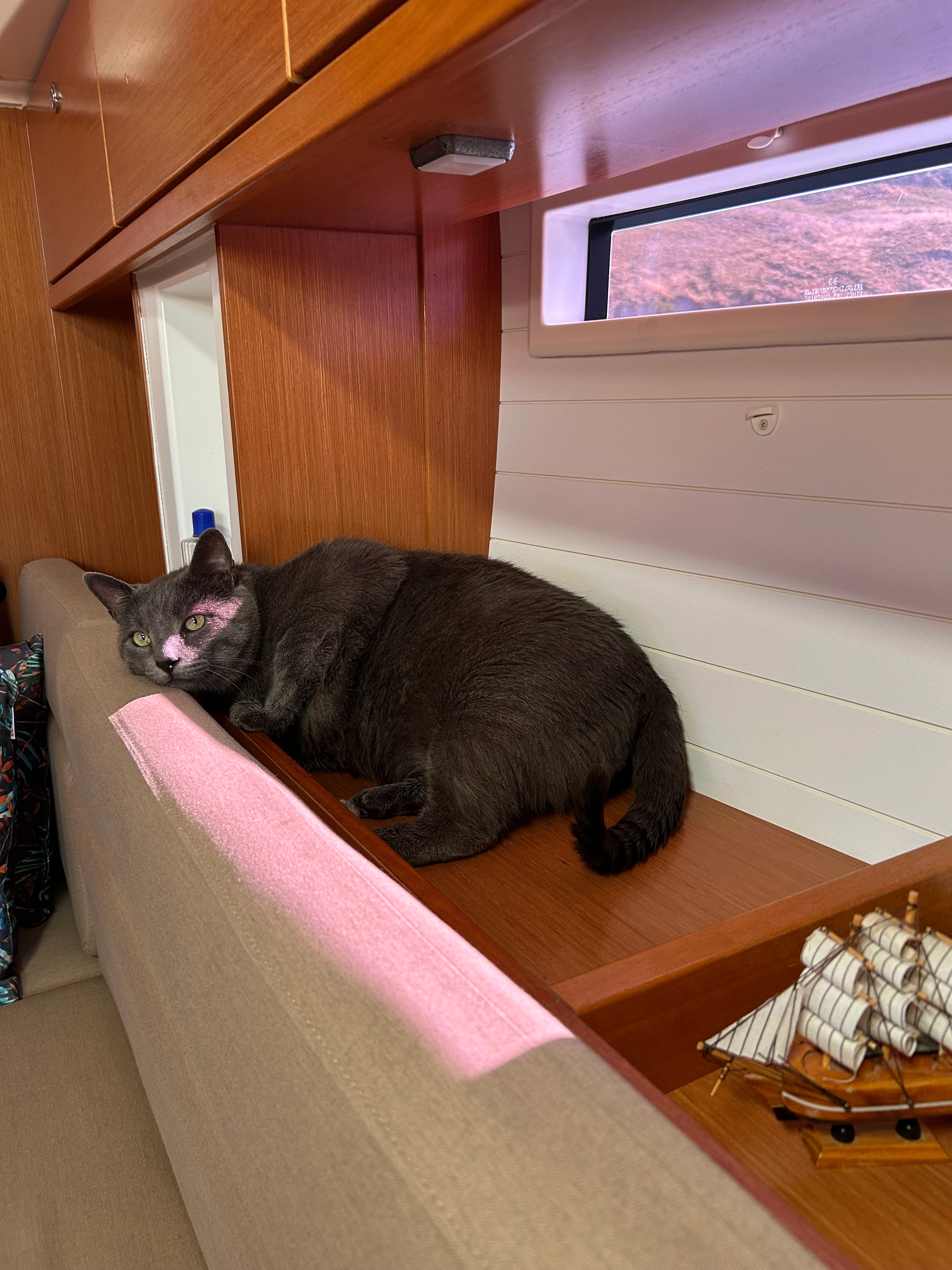 Pascal - 852 00, Kalymnos