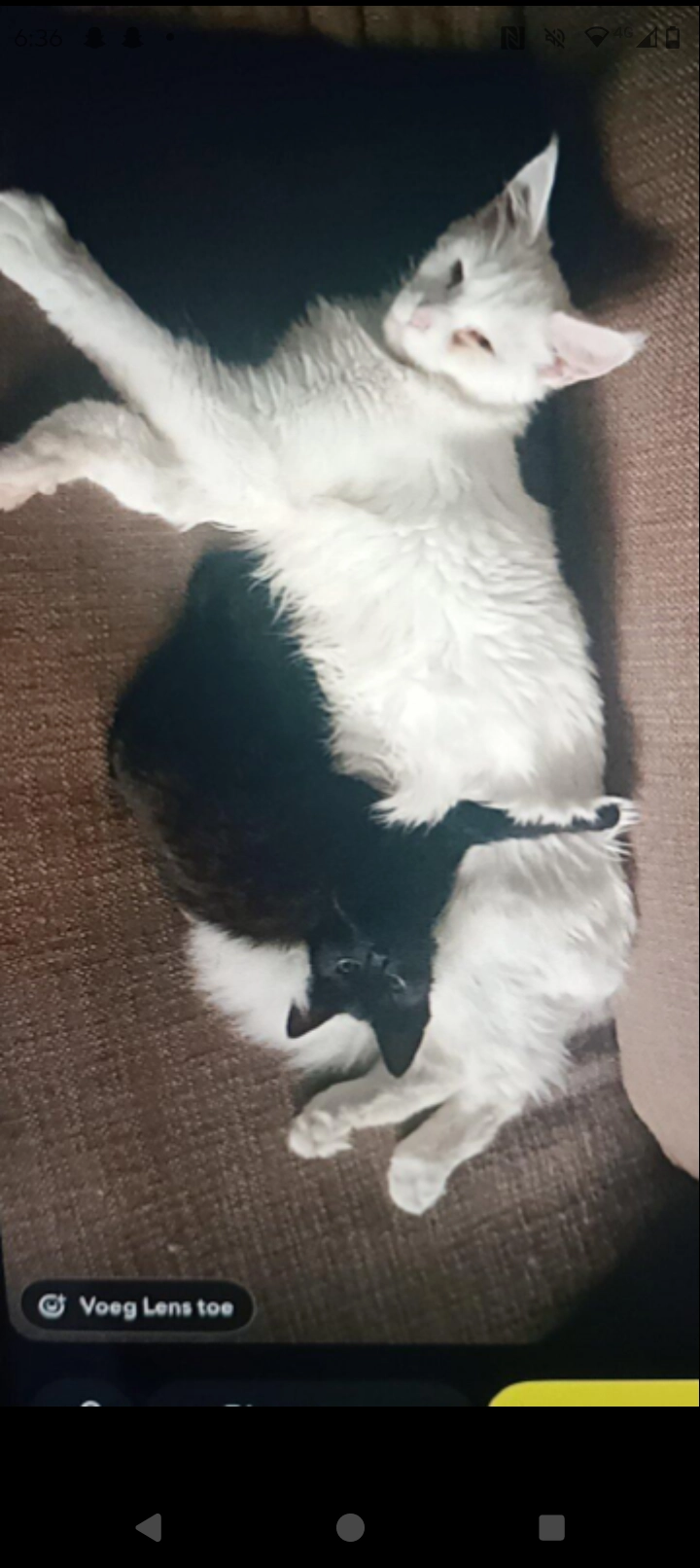 Lia - Het Kruiwerk, Hoorn