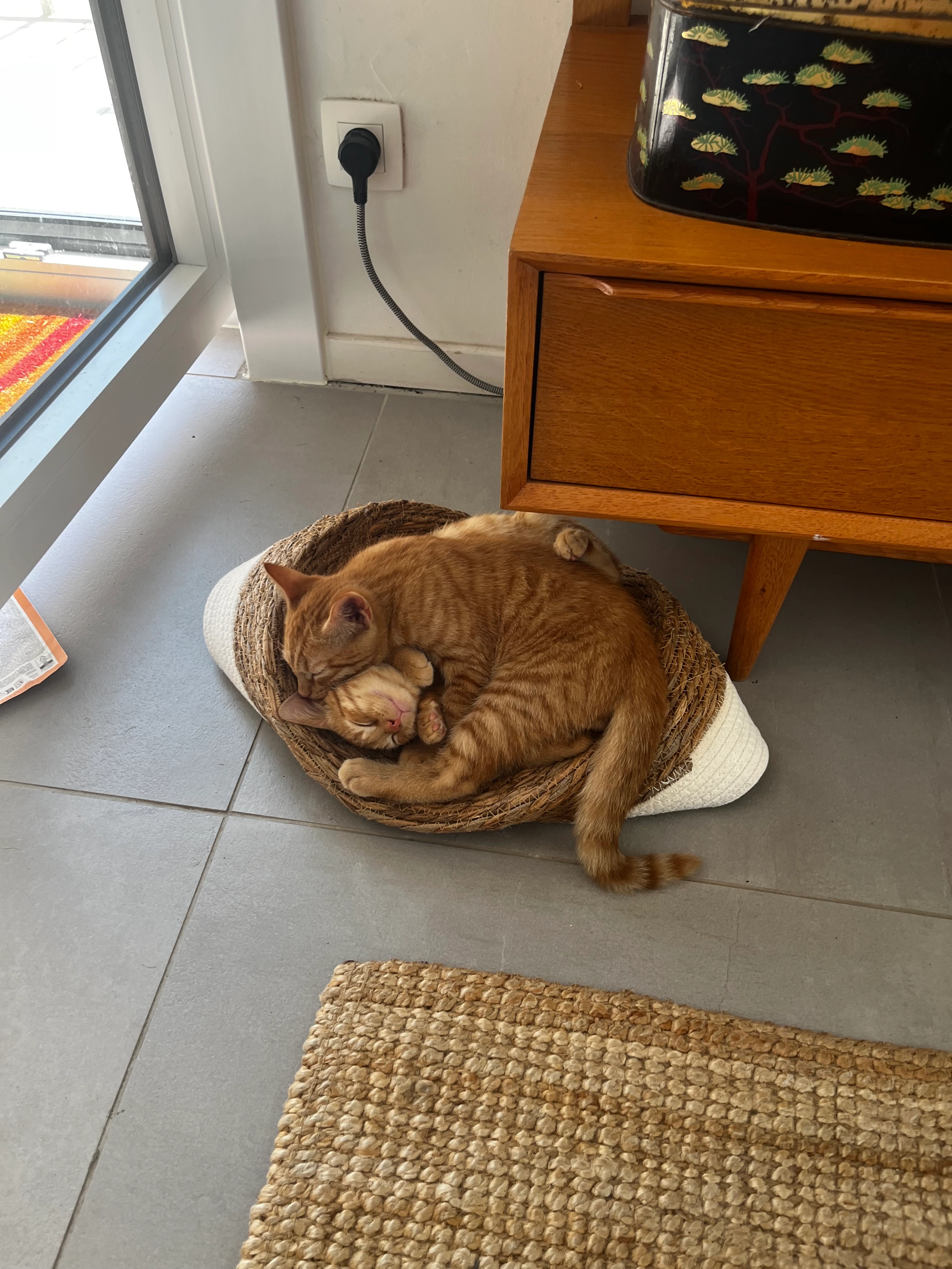 Stanley et Thorin - Graaf Bastalaan, Moeskroen