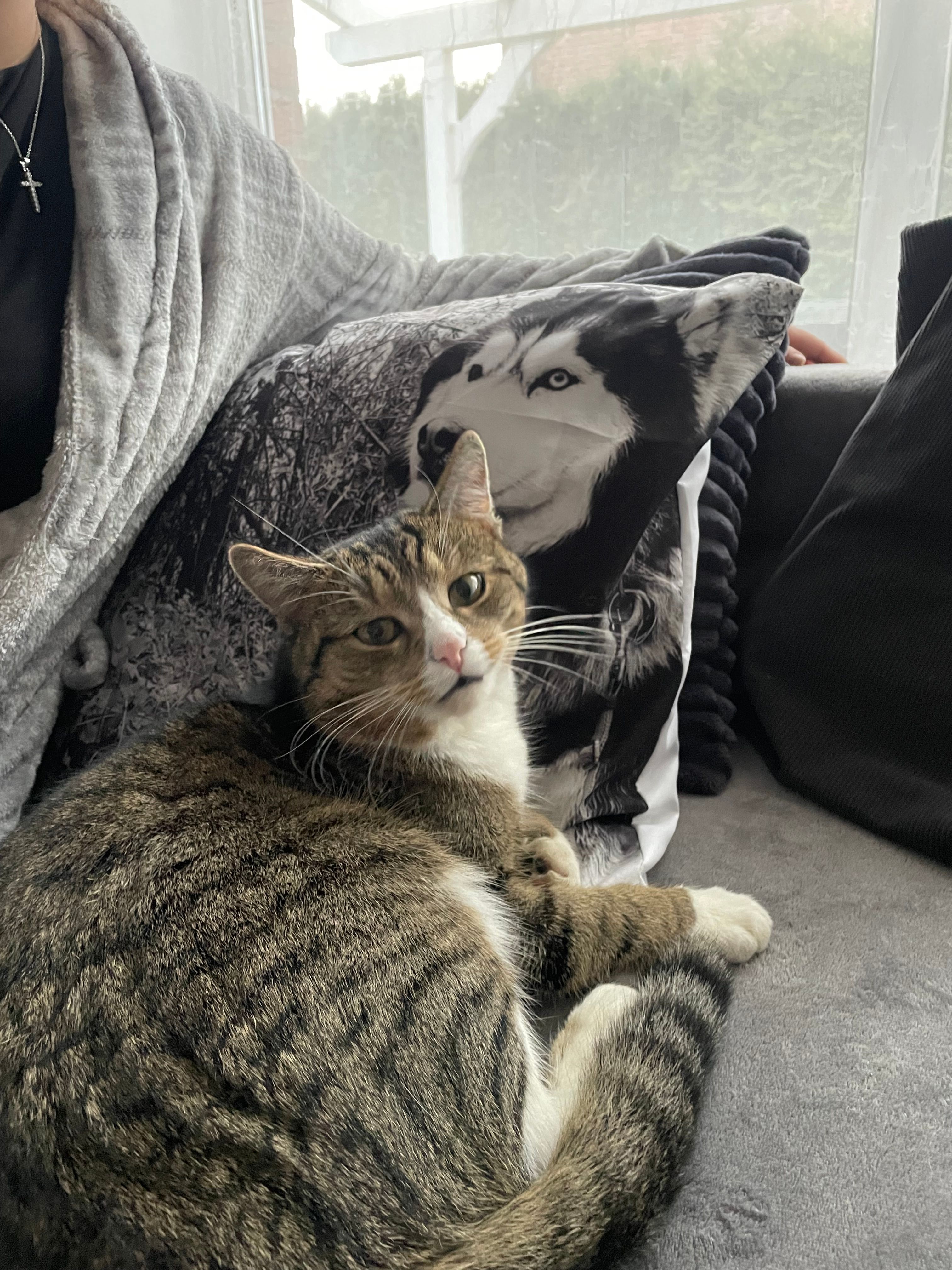 Antoshka - Rebhuhnweg, Stadthagen