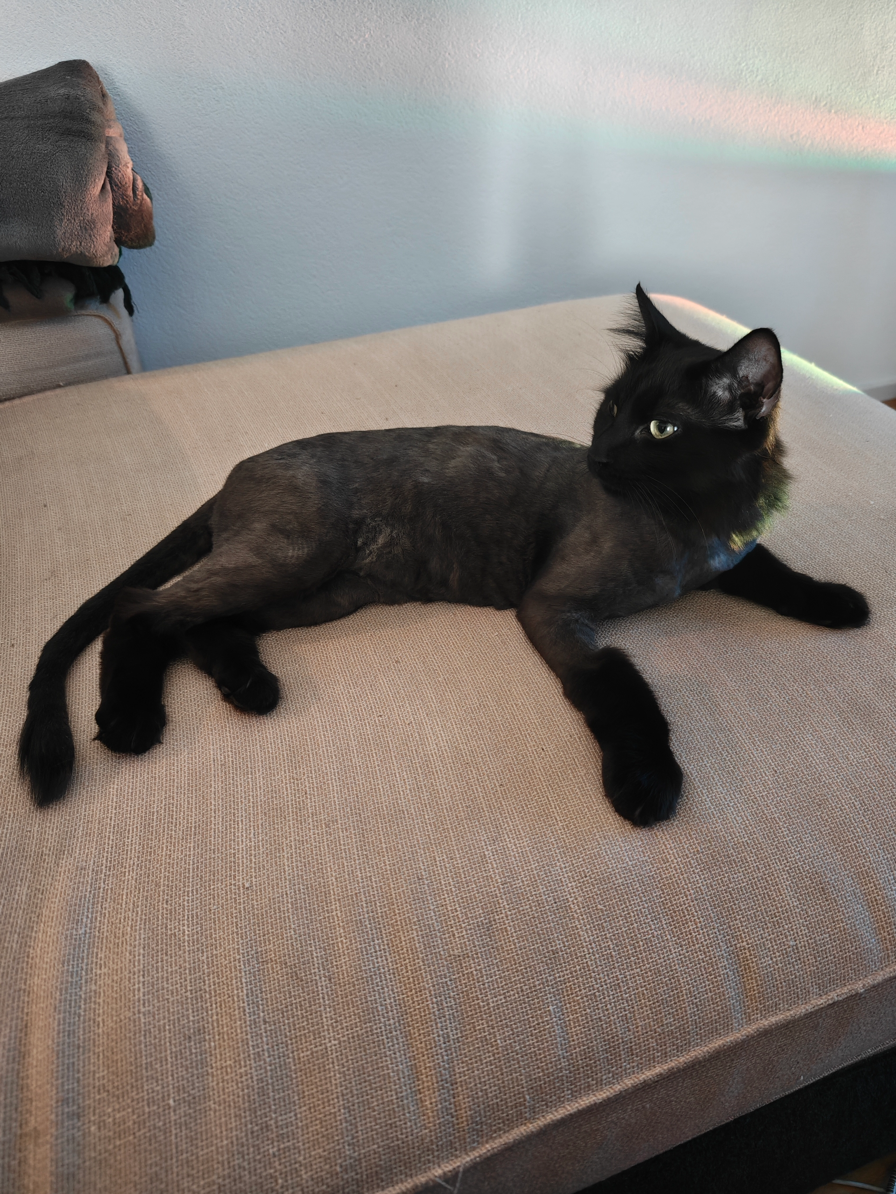 Jack - Route De Riaz, Bulle