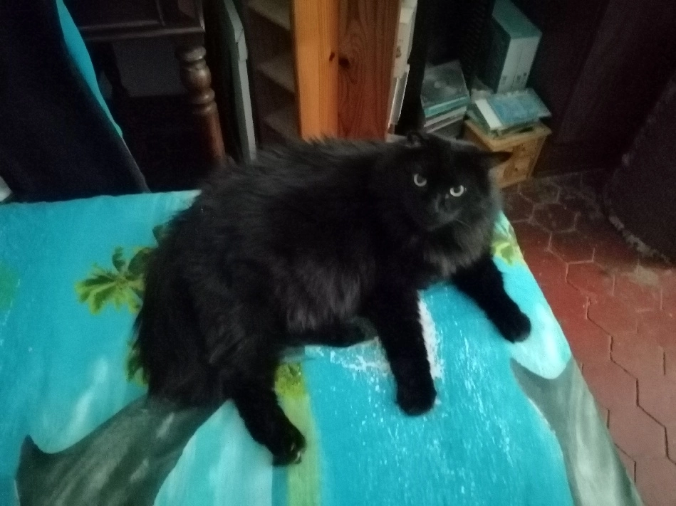 Noiraud - Avenue De La Gare, Solliès-Pont