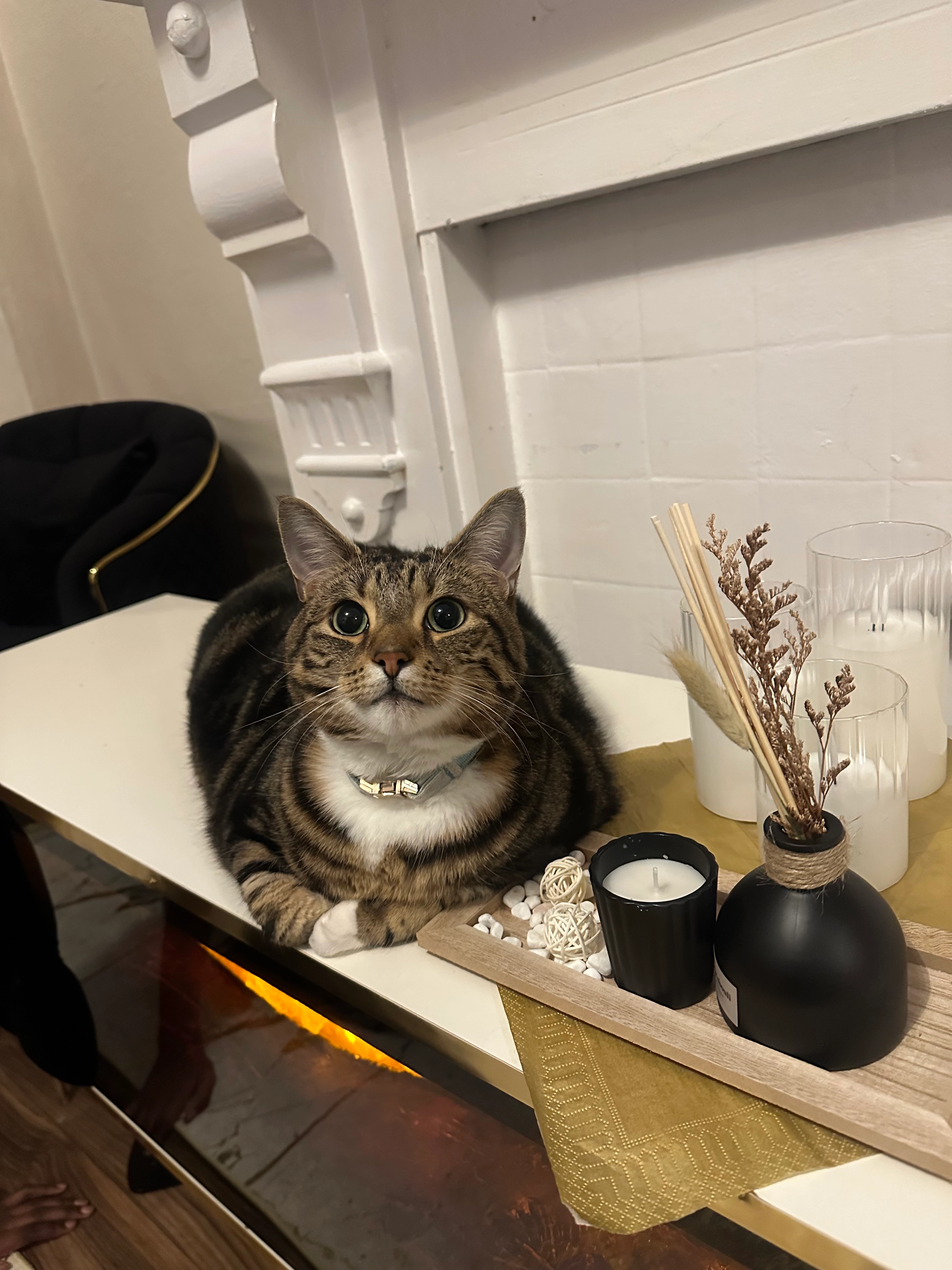 Zacky - 852 Fishponds Road, Bristol