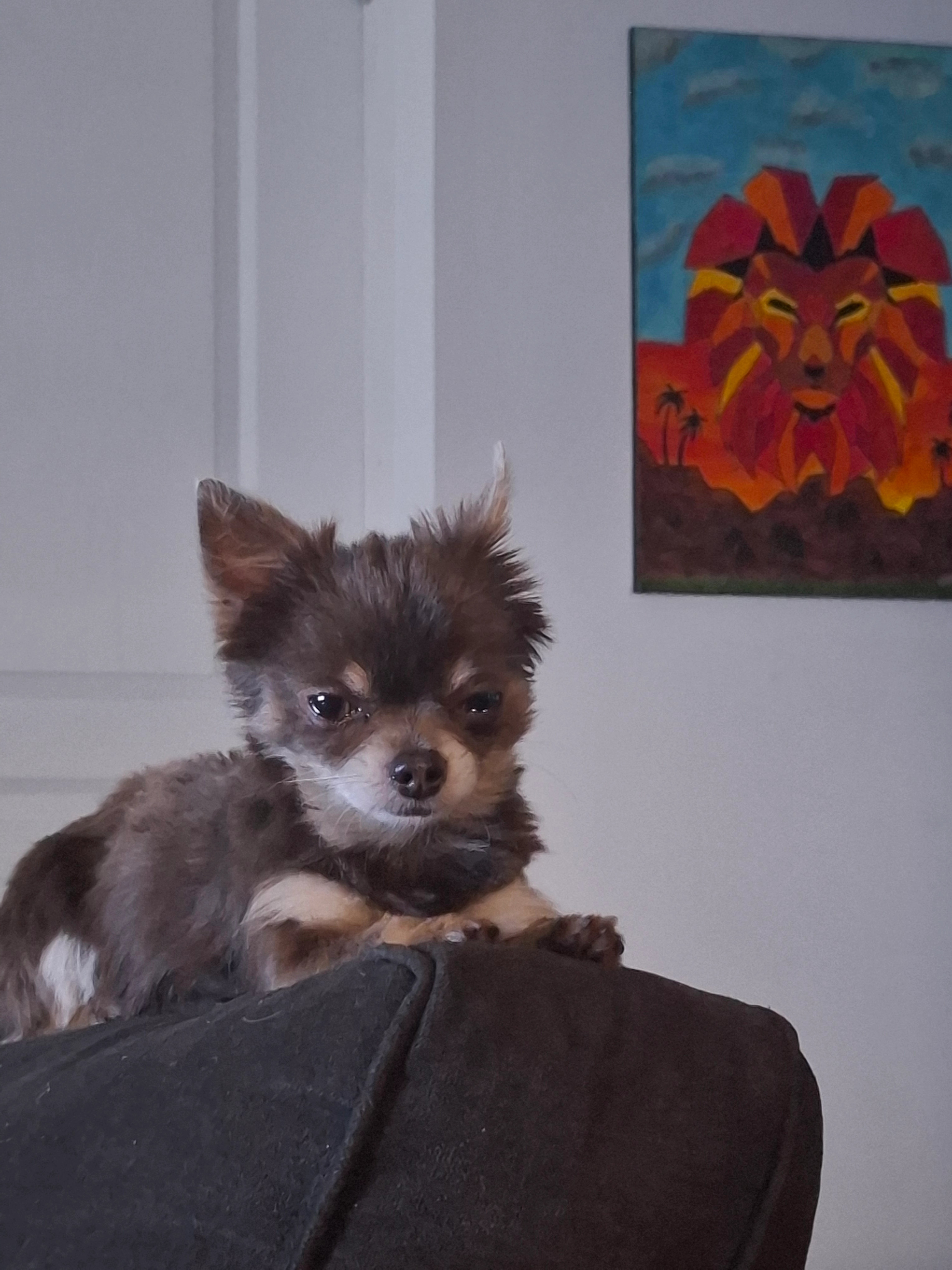 Tayson - 16 Rue Paul Blaison, Saint-Max