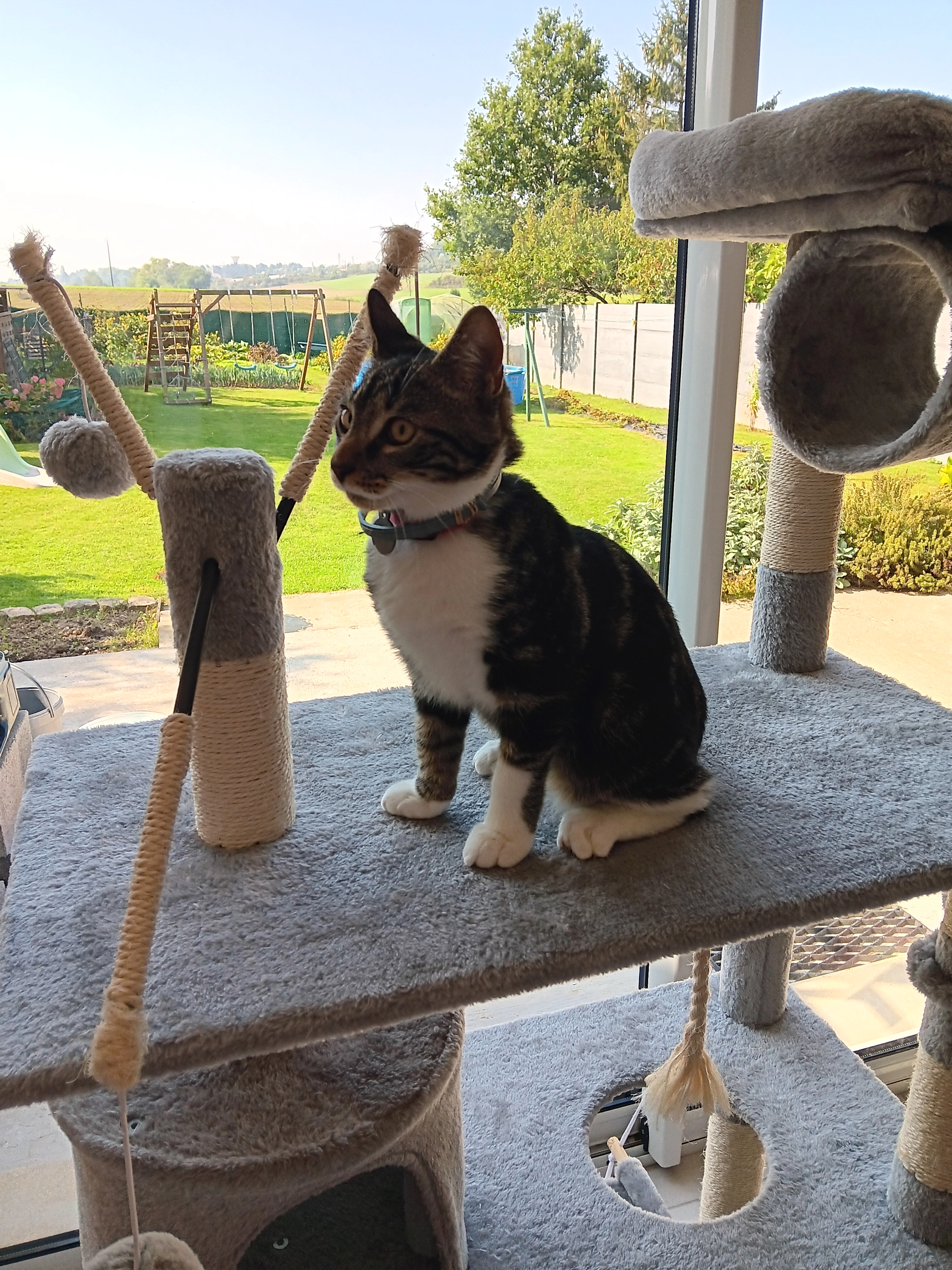 Zack  - 11 Rue du 88ème Régiment d'Infanterie, Roclincourt