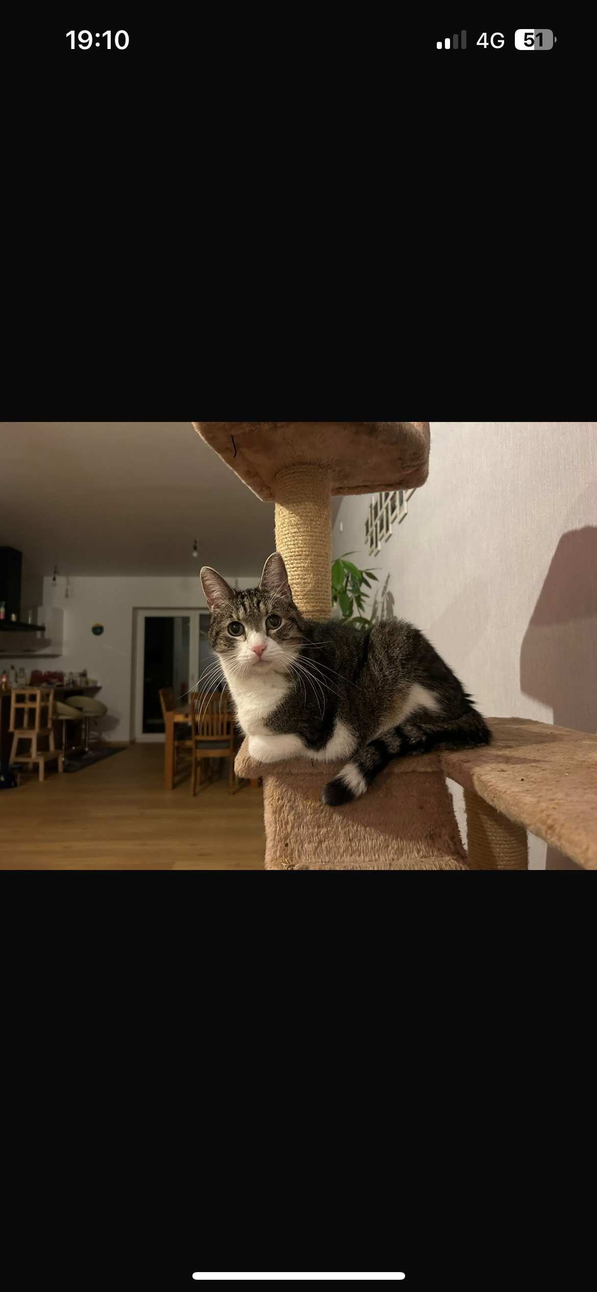 Floh - Brunkensteinstraße, Simmertal