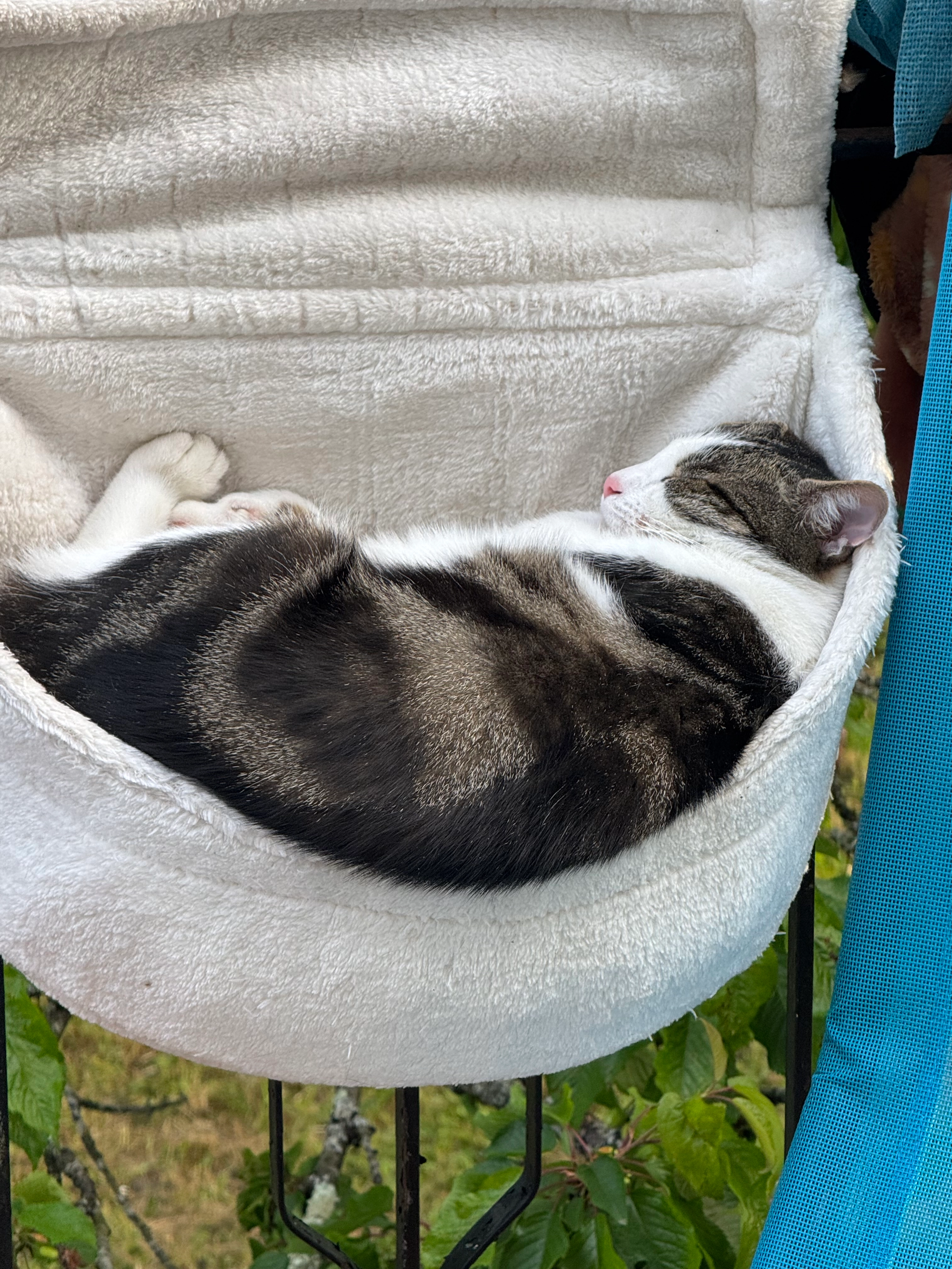 rico - 35 Rue Anatole France, Vierzon