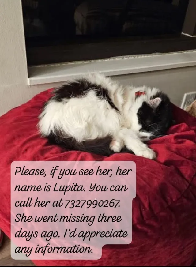 Lupita - Oak Hill Drive, Toms River