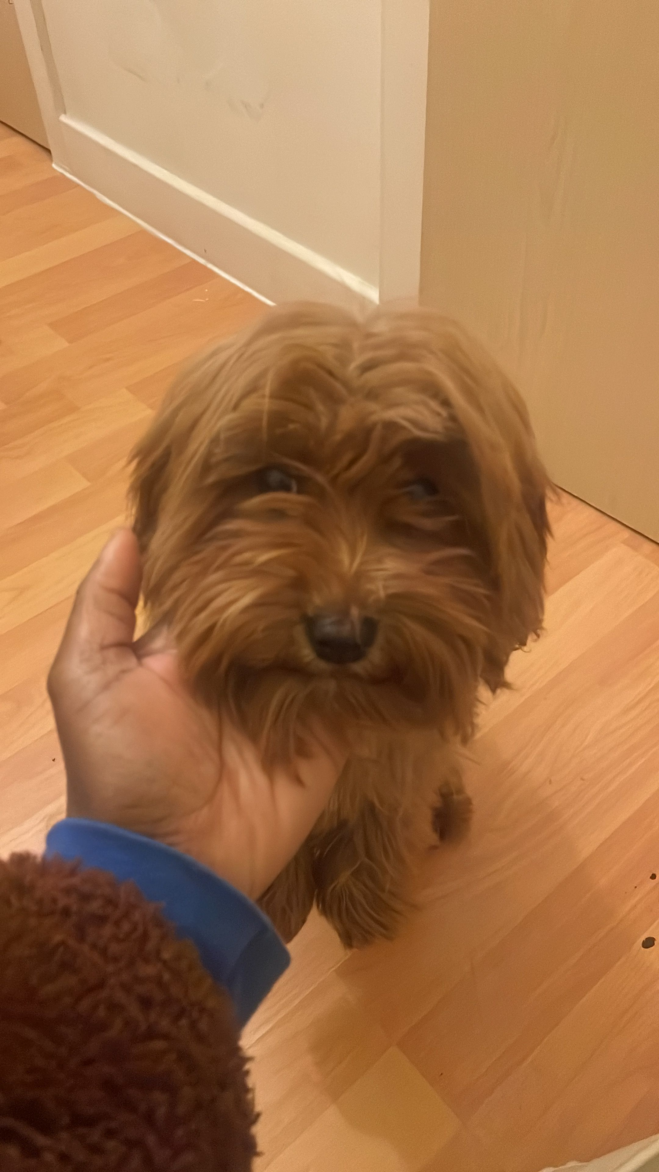 Tinkerbell - Colne Causeway, Colchester